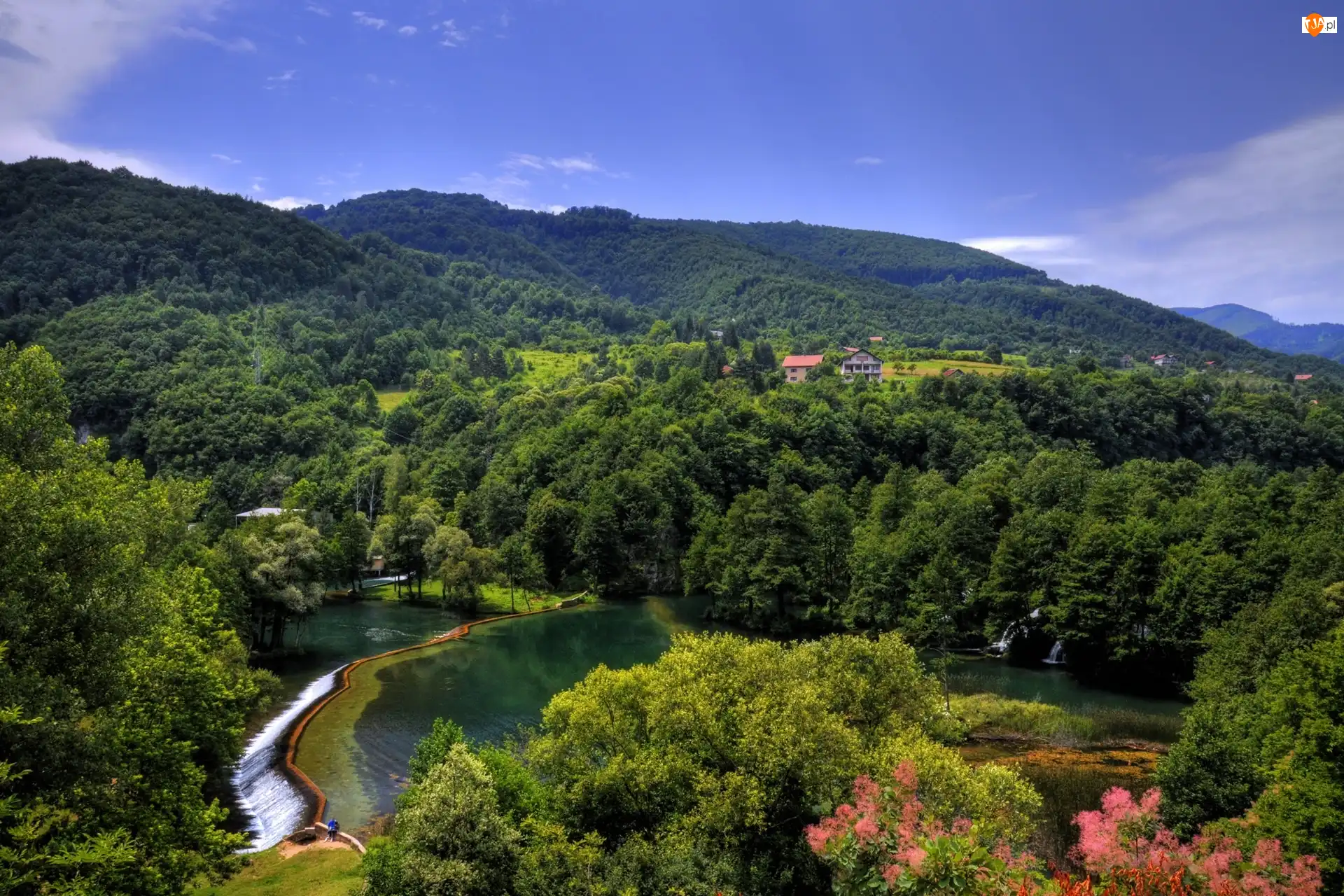 Lato, Góry, Lasy, Jezioro