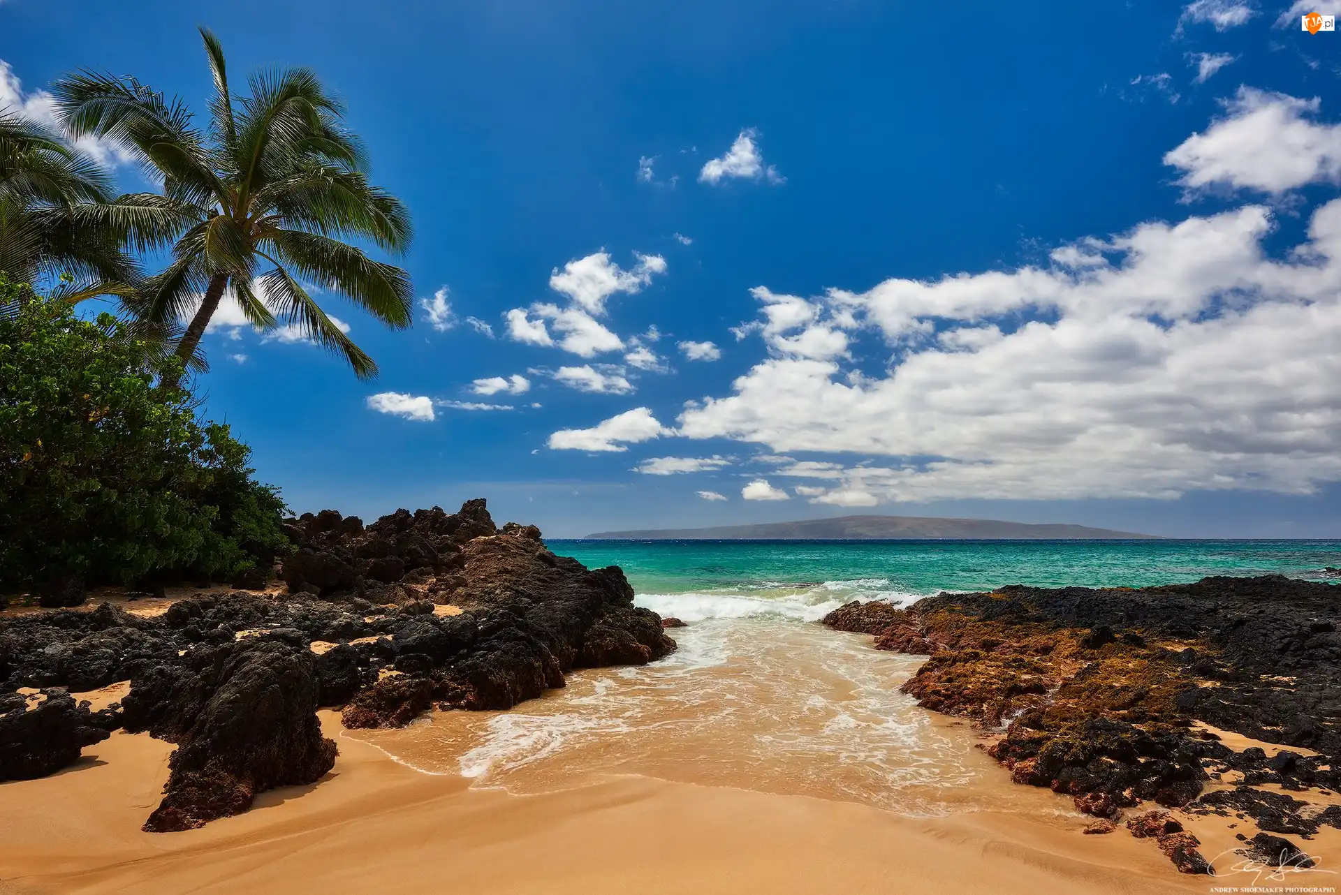 Wyspa Maui, Hawaje, Palmy, Skały, Ocean, Chmury