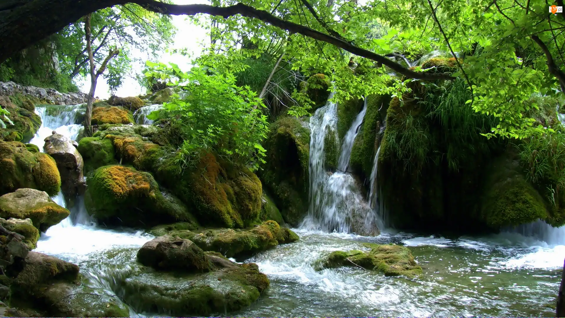 Plitvice, Wodospad, Skały, Drzewa