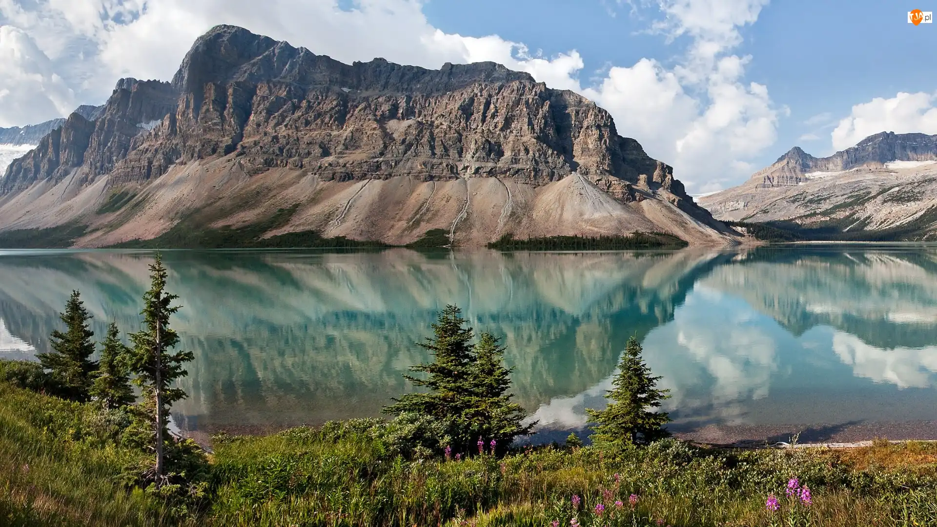 Prowincja Alberta, Kanada, Jezioro Bow Lake, Roślinność, Park Narodowy Banff, Góra Crowfoot Mountain