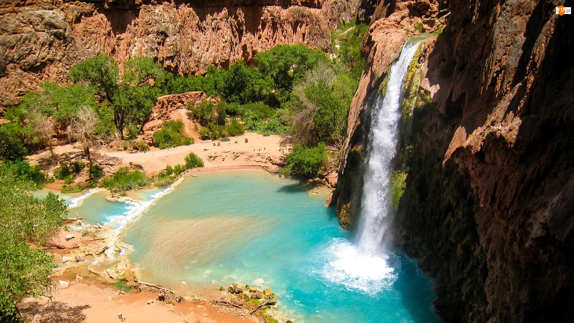Wielki Kanion Kolorado, Stan Arizona, Havasu Creek, Drzewa, Rzeka, Wodospad, Havasu Falls, Stany Zjednoczone, Skały