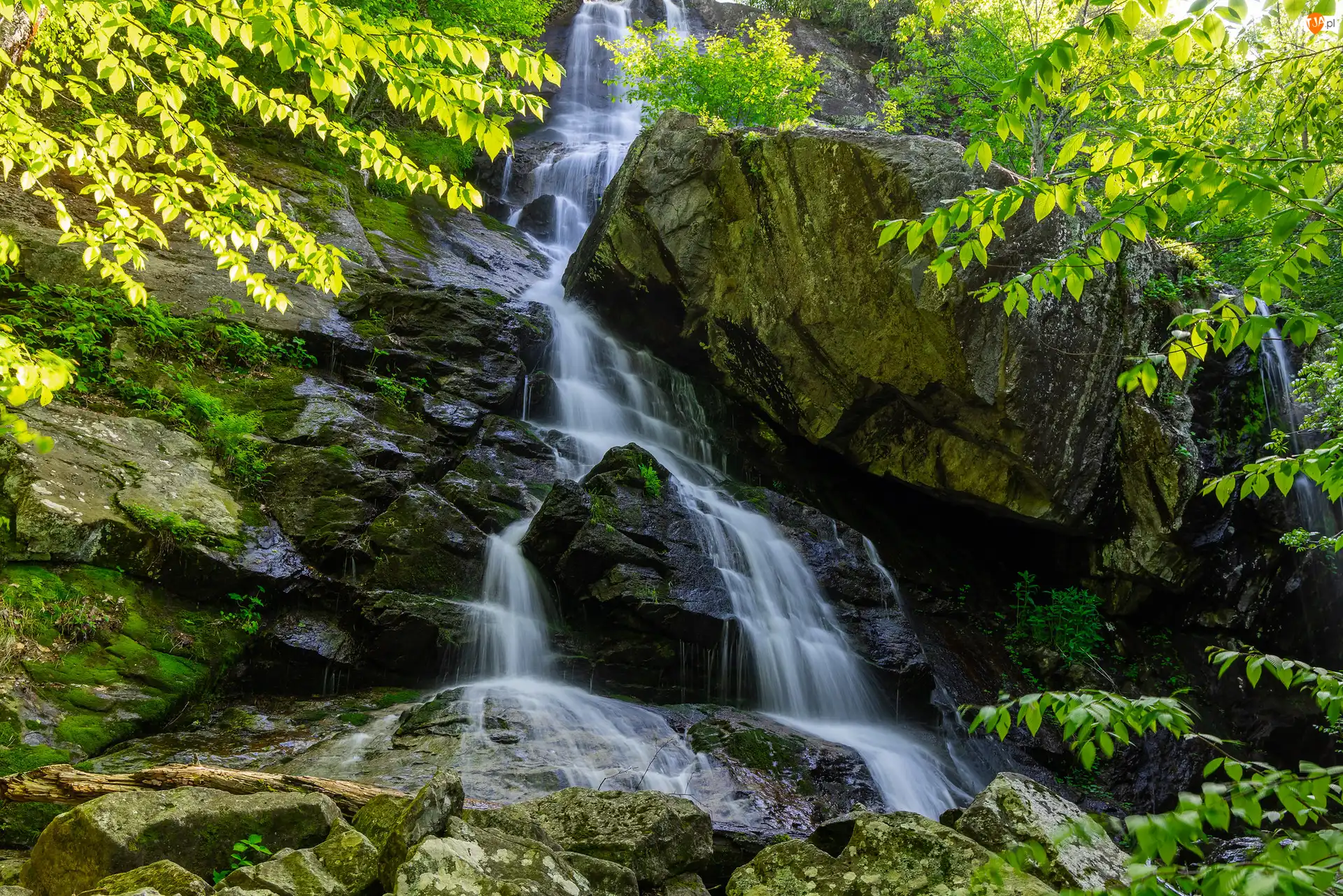 Apple Orchard Falls, Skały, Stany Zjednoczone, Wodospad, Wirginia, Roślinność, Drzewa