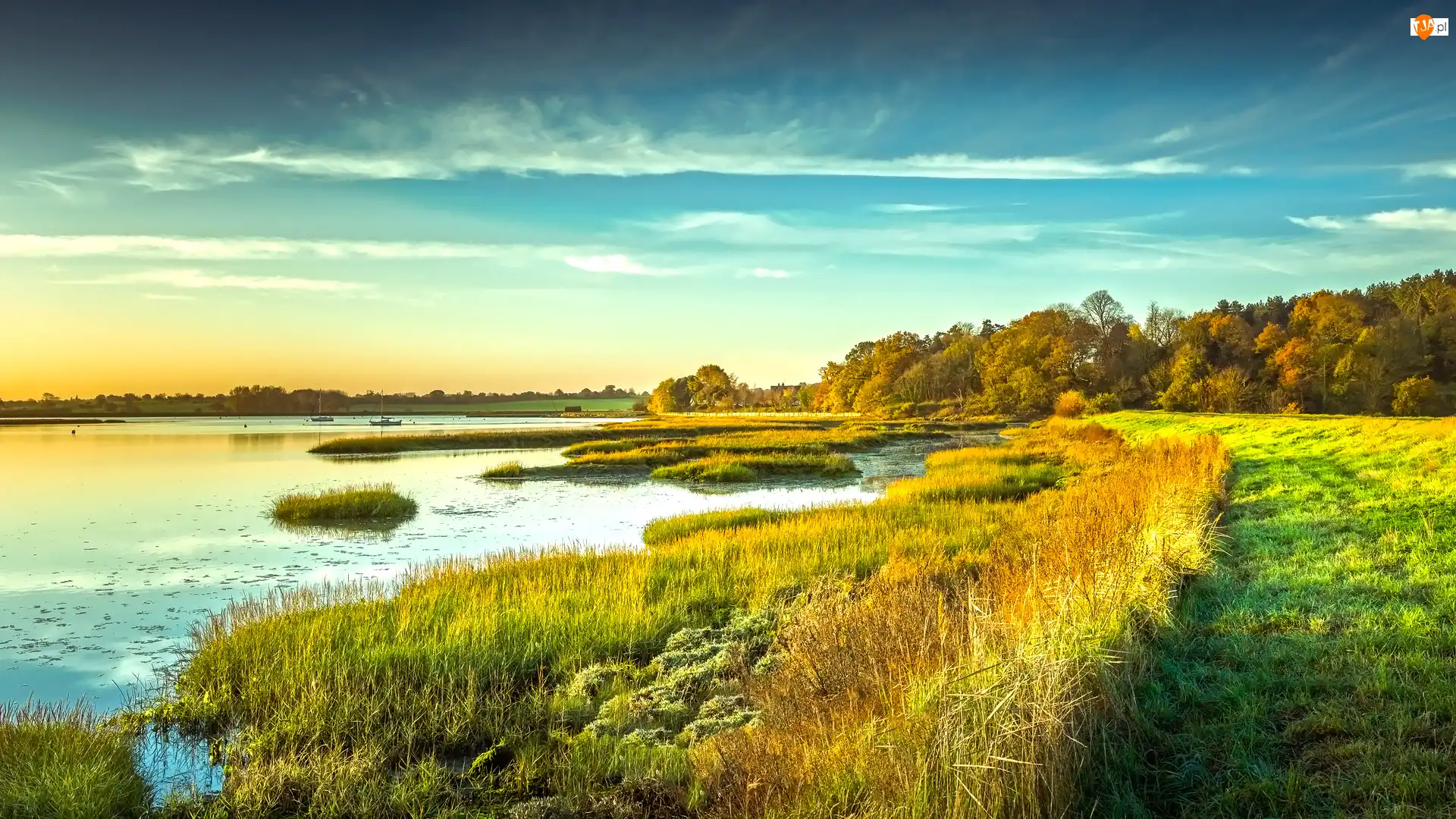 Anglia, Trawa, Hrabstwo Suffolk, River Deben, Kyson Hill, Las, Drzewa, Łąka, Rzeka