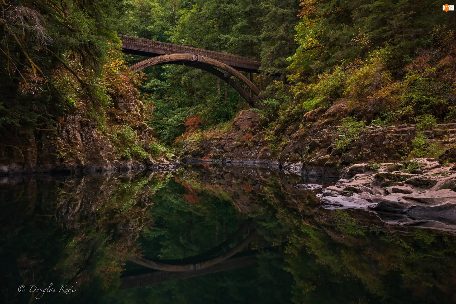 Drzewa, Rzeka Lewis River, Stany Zjednoczone, Las, Stan Waszyngton, Skały, Most Moulton Falls Bridge