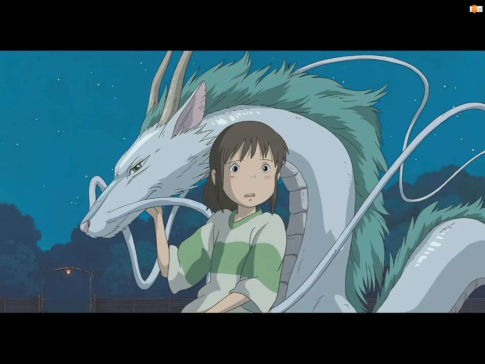 zwierz, Spirited Away, chłopak