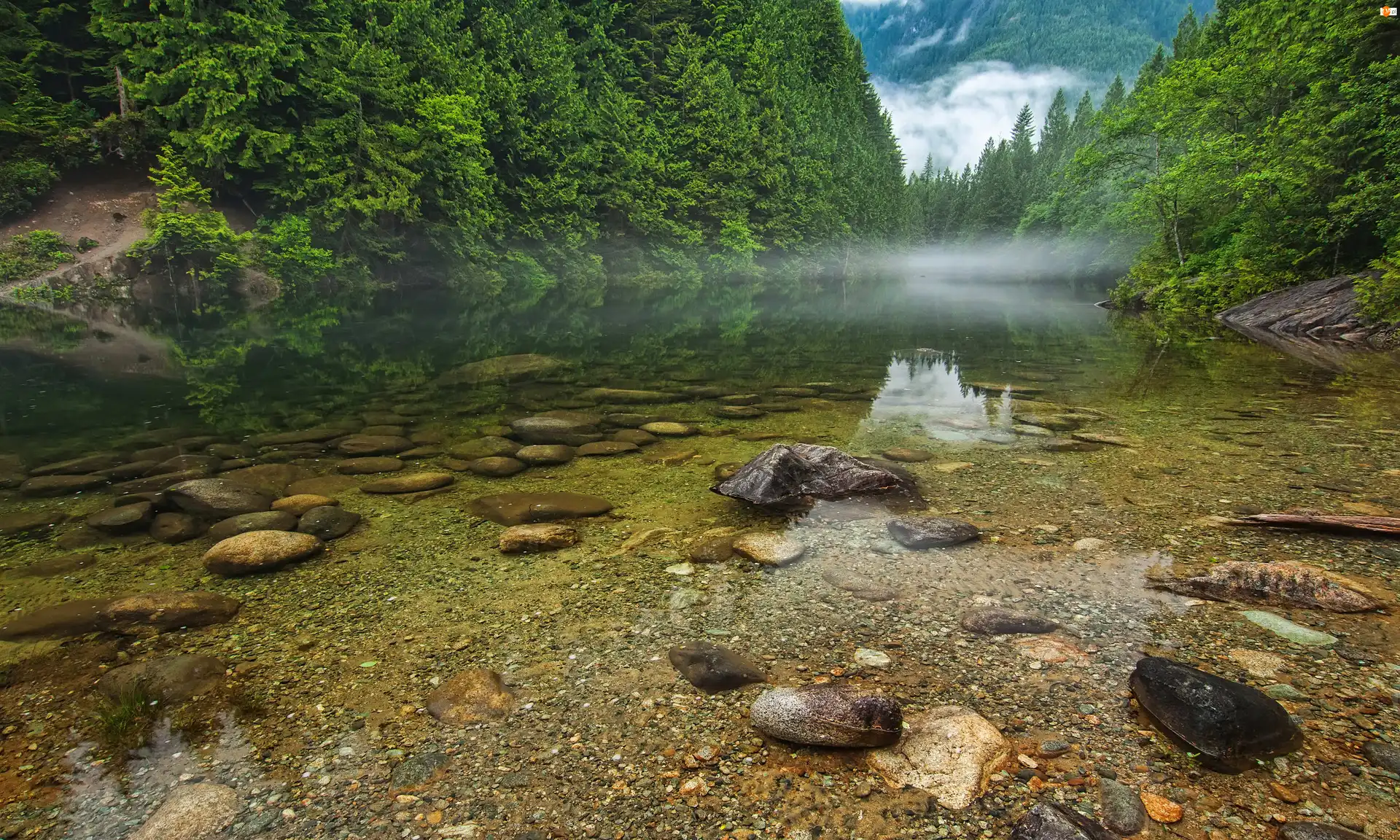 Mgła, Kanada, Kamienie, Jezioro, Las