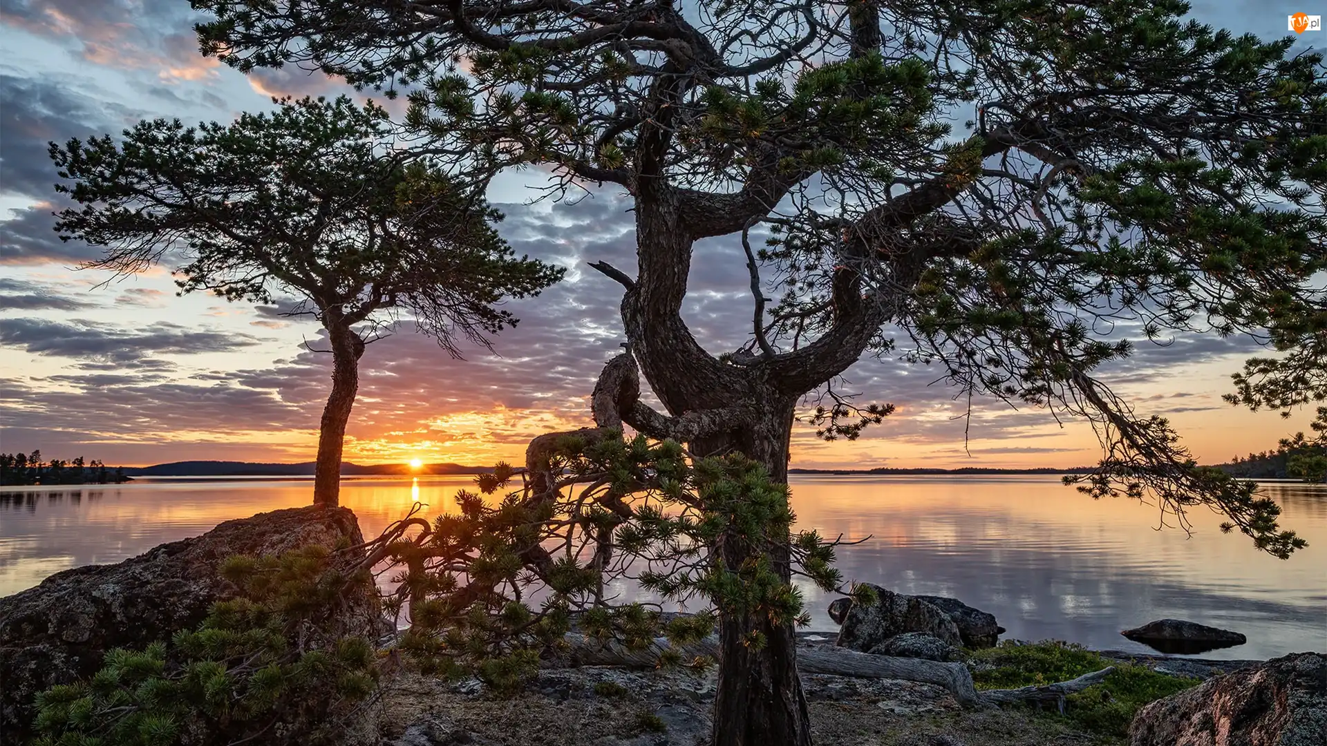 Lake Inari, Drzewa, Finlandia, Jezioro, Laponia, Chmury, Zachód słońca