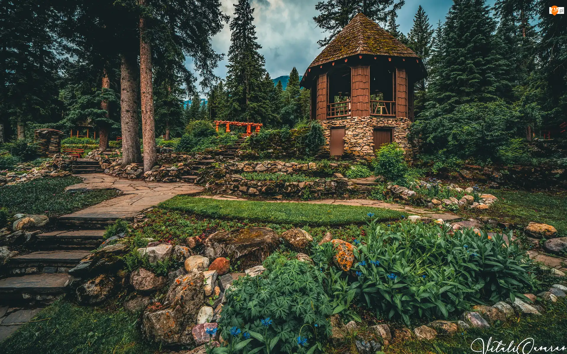 Park Narodowy Banff, Park, Schodki, Alberta, Altana, Rośliny, Kanada, Drzewa