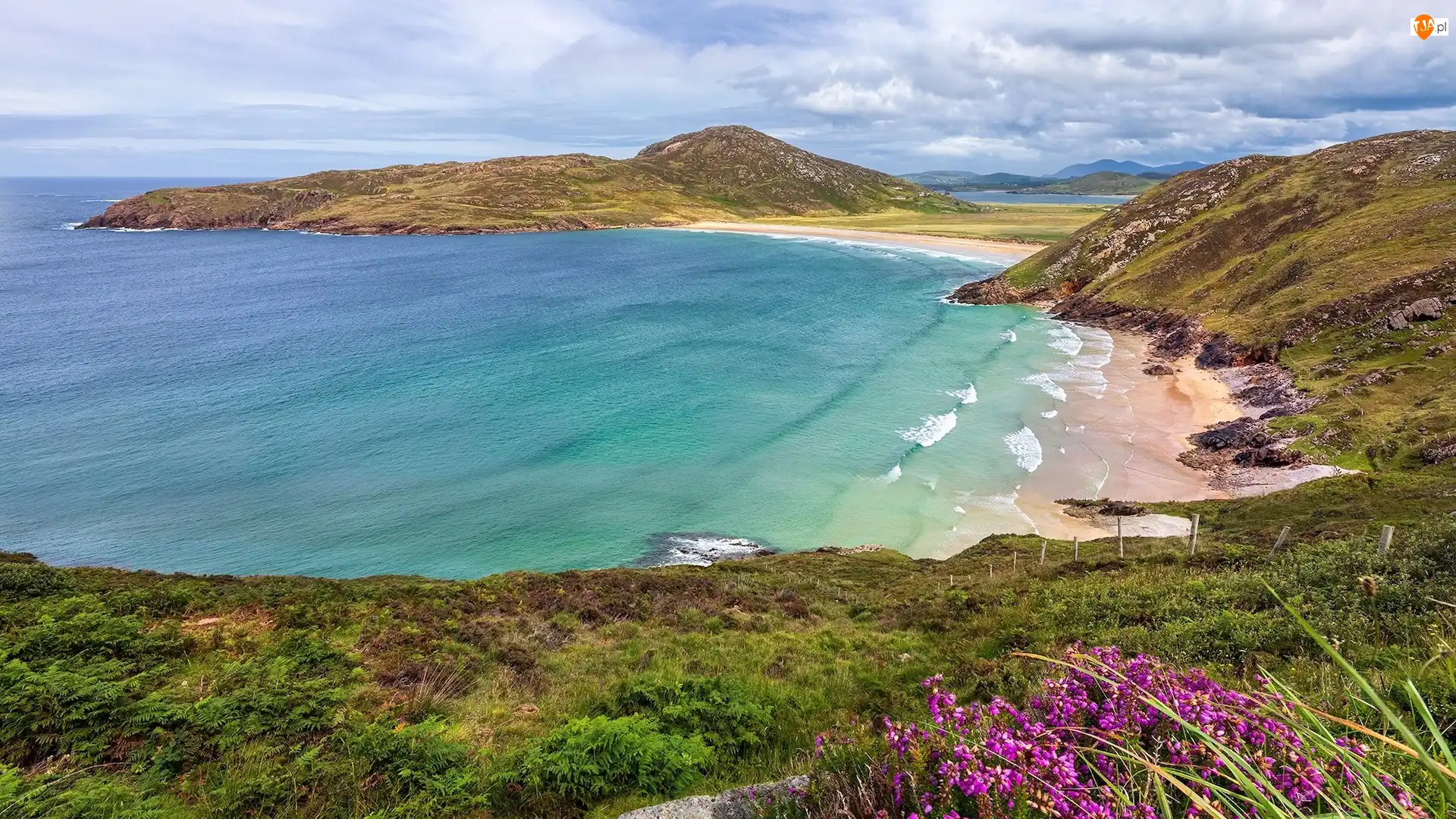 Półwysep Rosguill, Morze, Kwiaty, Hrabstwo Donegal, Wybrzeże, Roślinność, Irlandia, Plaża