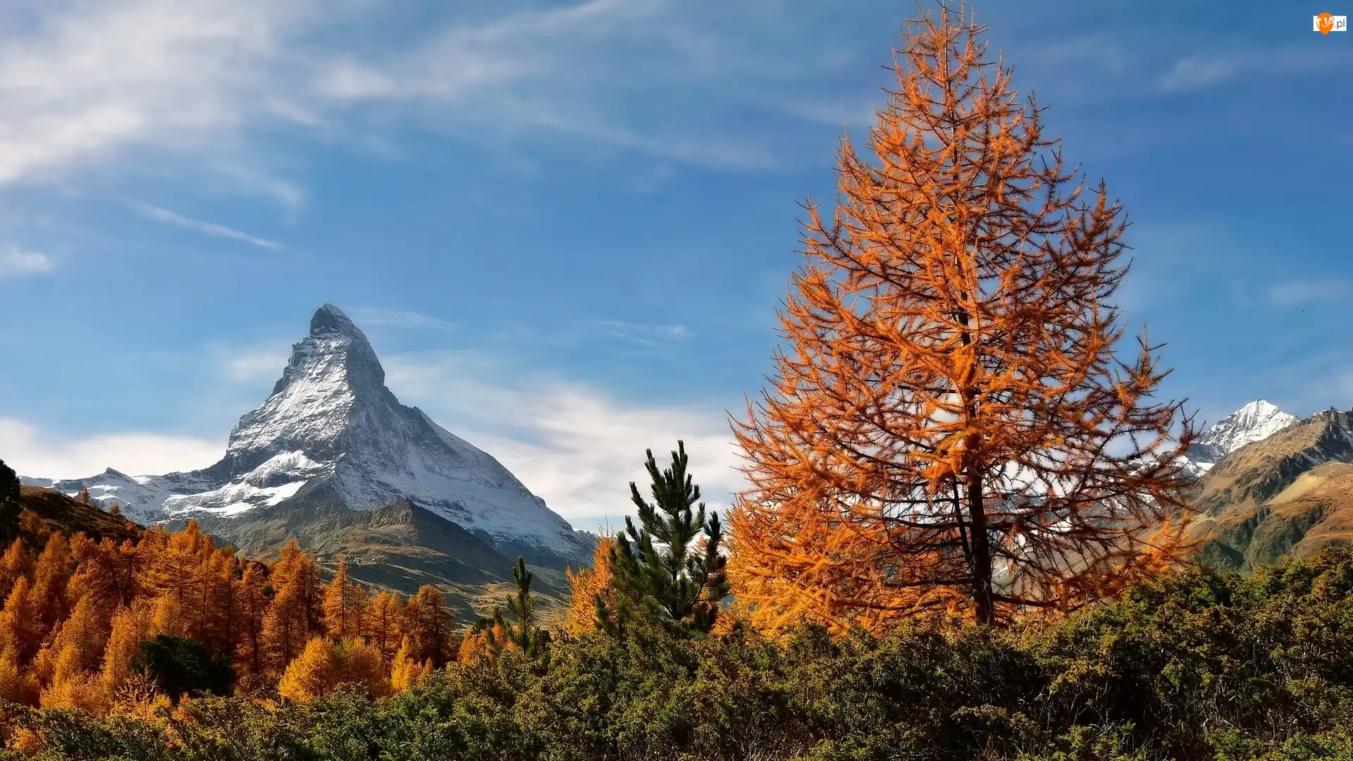 Szwajcaria, Szczyt Matterhorn, Modrzewie, Drzewa, Żółte, Góry, Alpy Pennińskie, Góra, Jesień