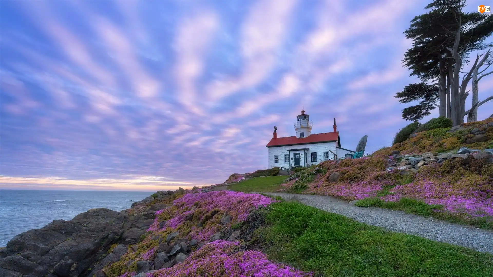 Stany Zjednoczone, Skały, Crescent City, Kwiaty, Latarnia morska, Morze, Droga, Battery Point Lighthouse, Drzewo, Kalifornia