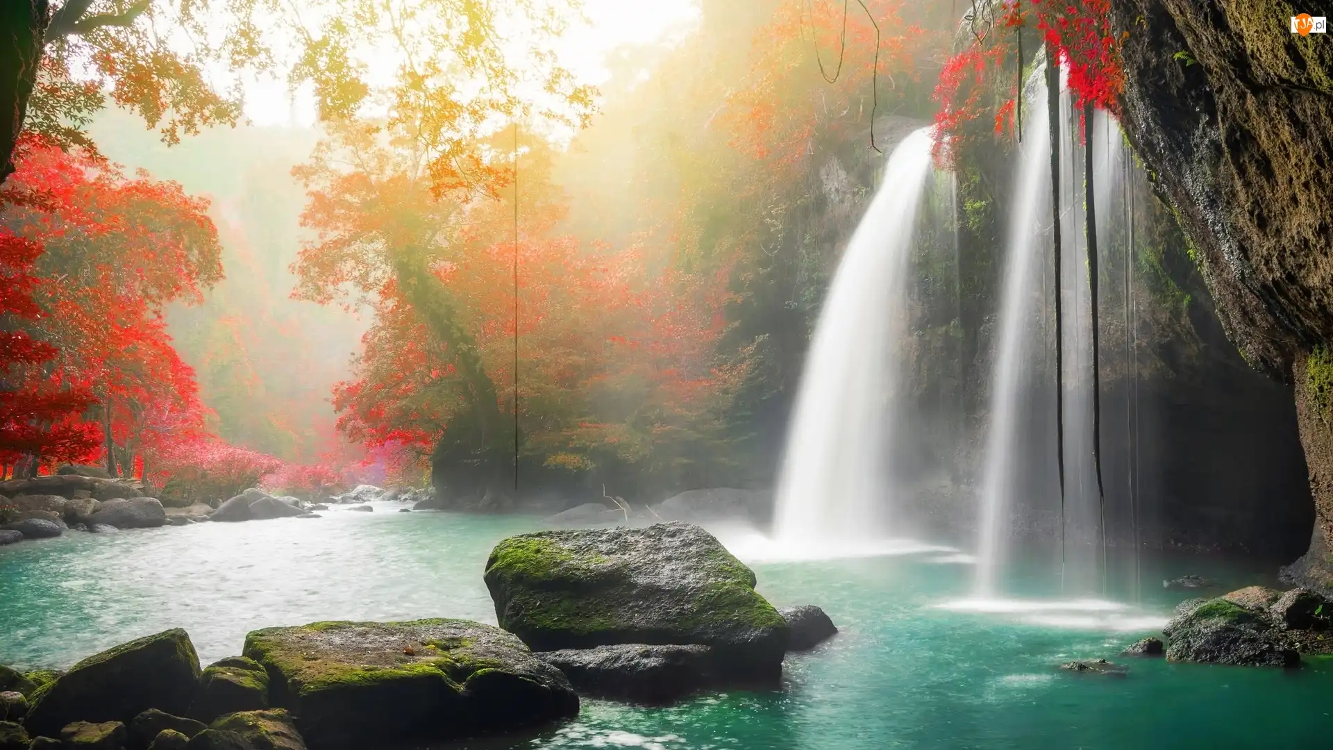 Wodospad Haew Suwat, Drzewa, Park Narodowy Khau Yai, Tajlandia, Kamienie