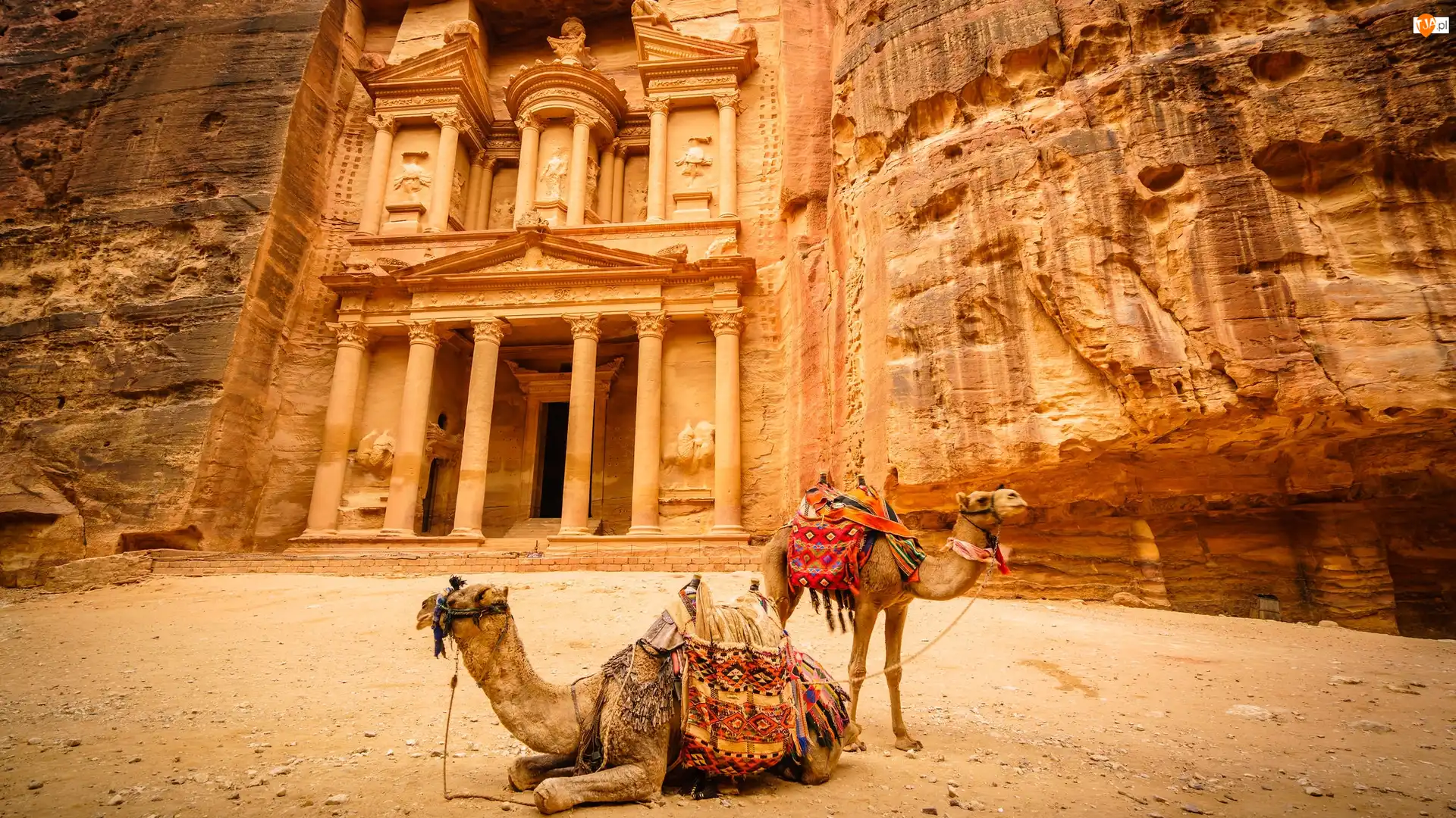 Petra, Skarbiec Faraona Al-Chazna, Wielbłądy, Jordania, Różowe Miasto, Skały, Ruiny