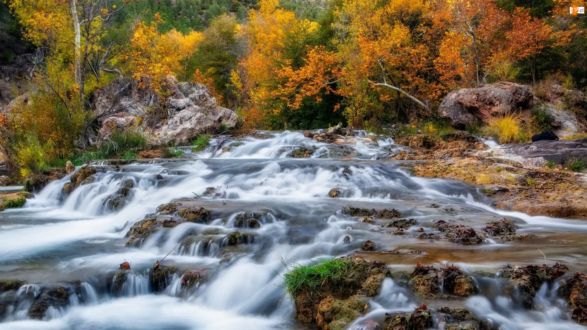 Jesień, Stany Zjednoczone, Fossil Creek, Drzewa, Arizona, Rzeka, Skały, Strawberry