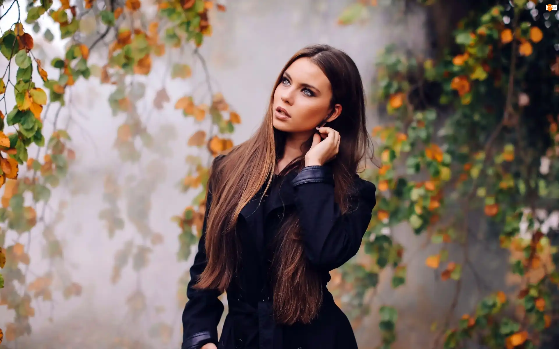 Modelka, Kobieta, Mgła, Jesień, Park, Drzewa