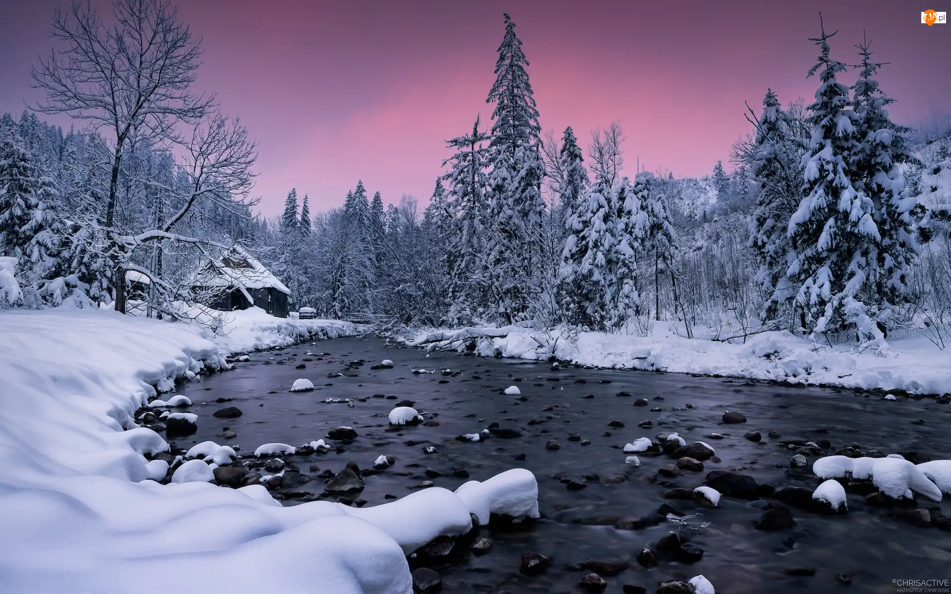 Ośnieżone, Polska, Rzeka, Chata, Tatry, Drzewa, Dolina Kościeliska, Zima