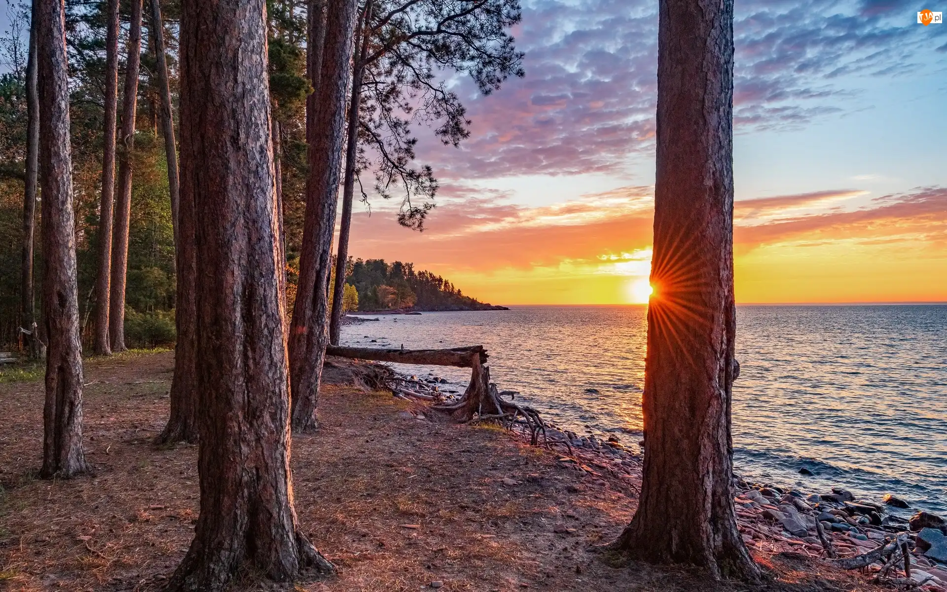 Las, Stany Zjednoczone, Jezioro, Drzewa, Stan Michigan, Superior Lake, Zachód słońca, Marquette