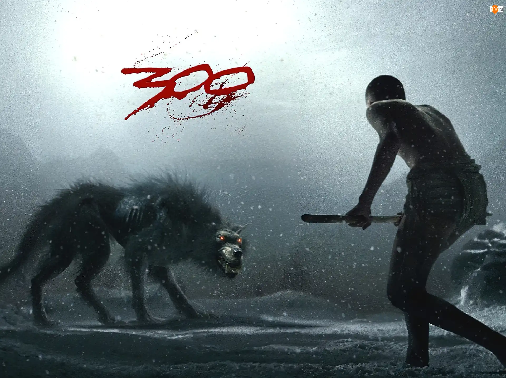 człowiek, 300, zima, wilk