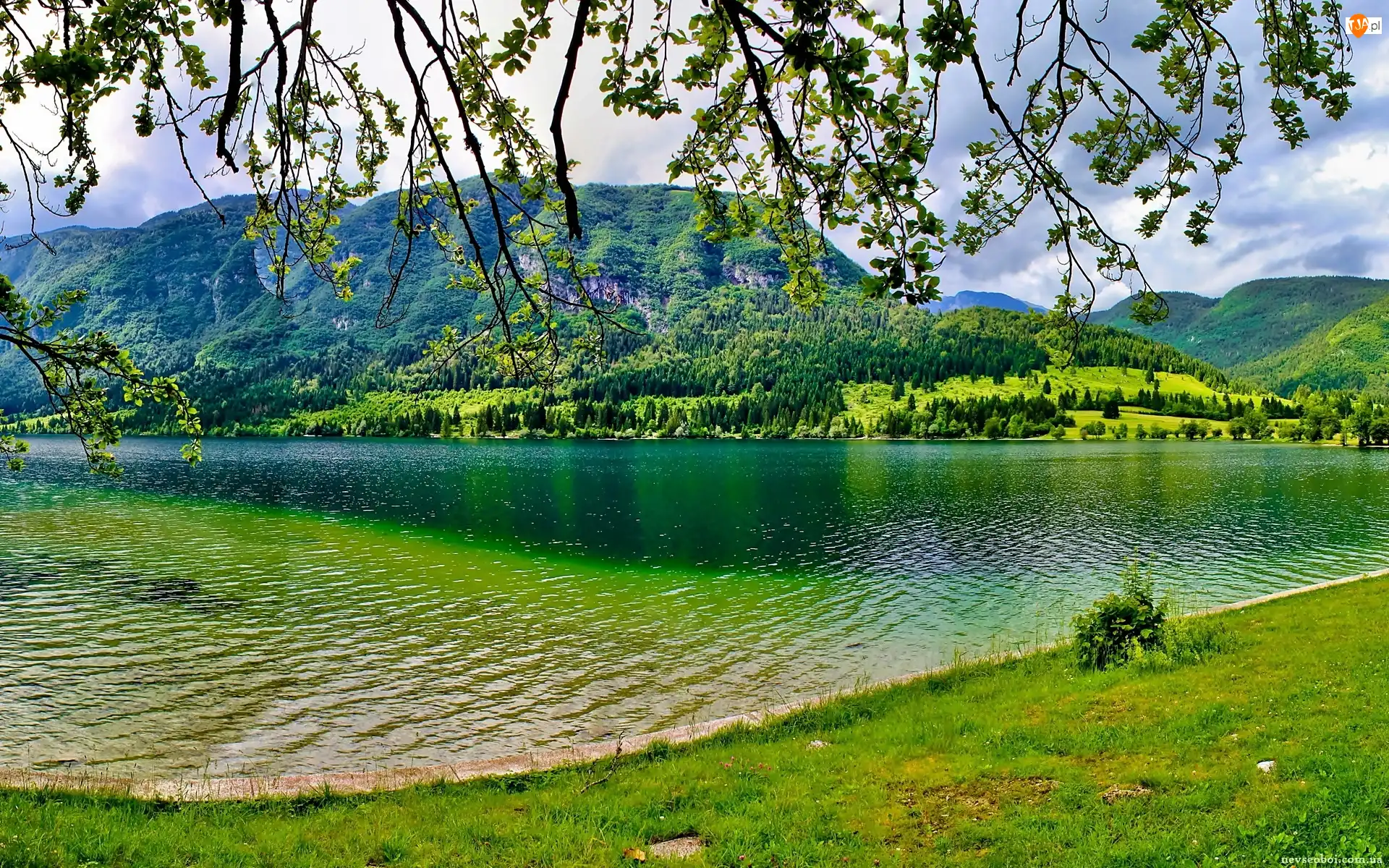 Łąka, Góry, Las, Jezioro