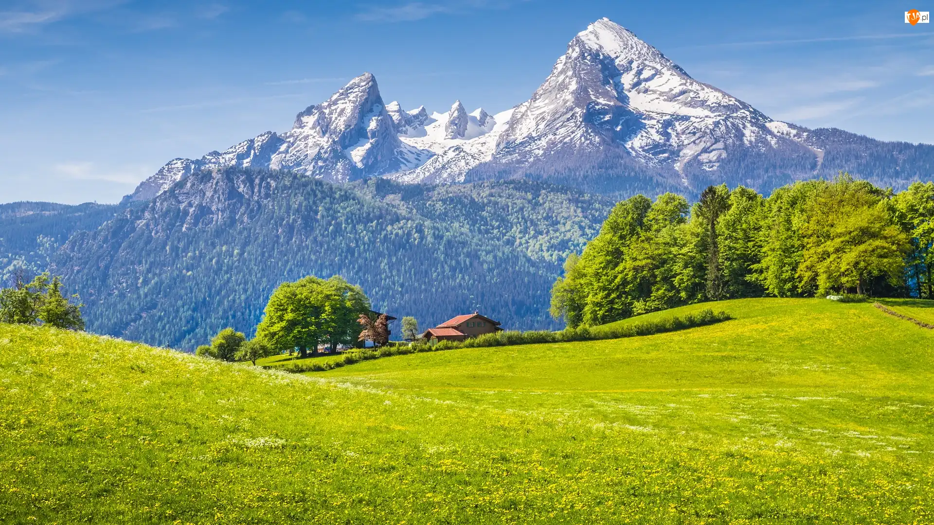 Góry Alpy, Bawaria, Dom, Park Narodowy Berchtesgaden, Drzewa, Las, Niemcy