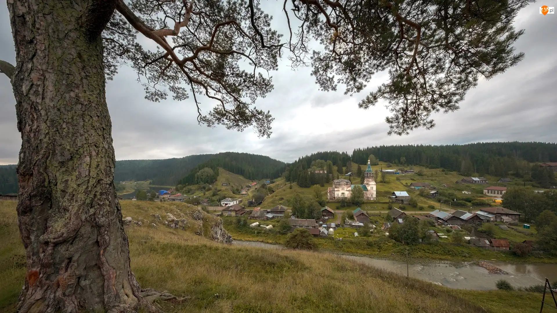 Cedr, Wieś Kyn, Domy, Kraj Permski, Rzeka Czusowaja, Drzewo, Rosja, Cerkiew