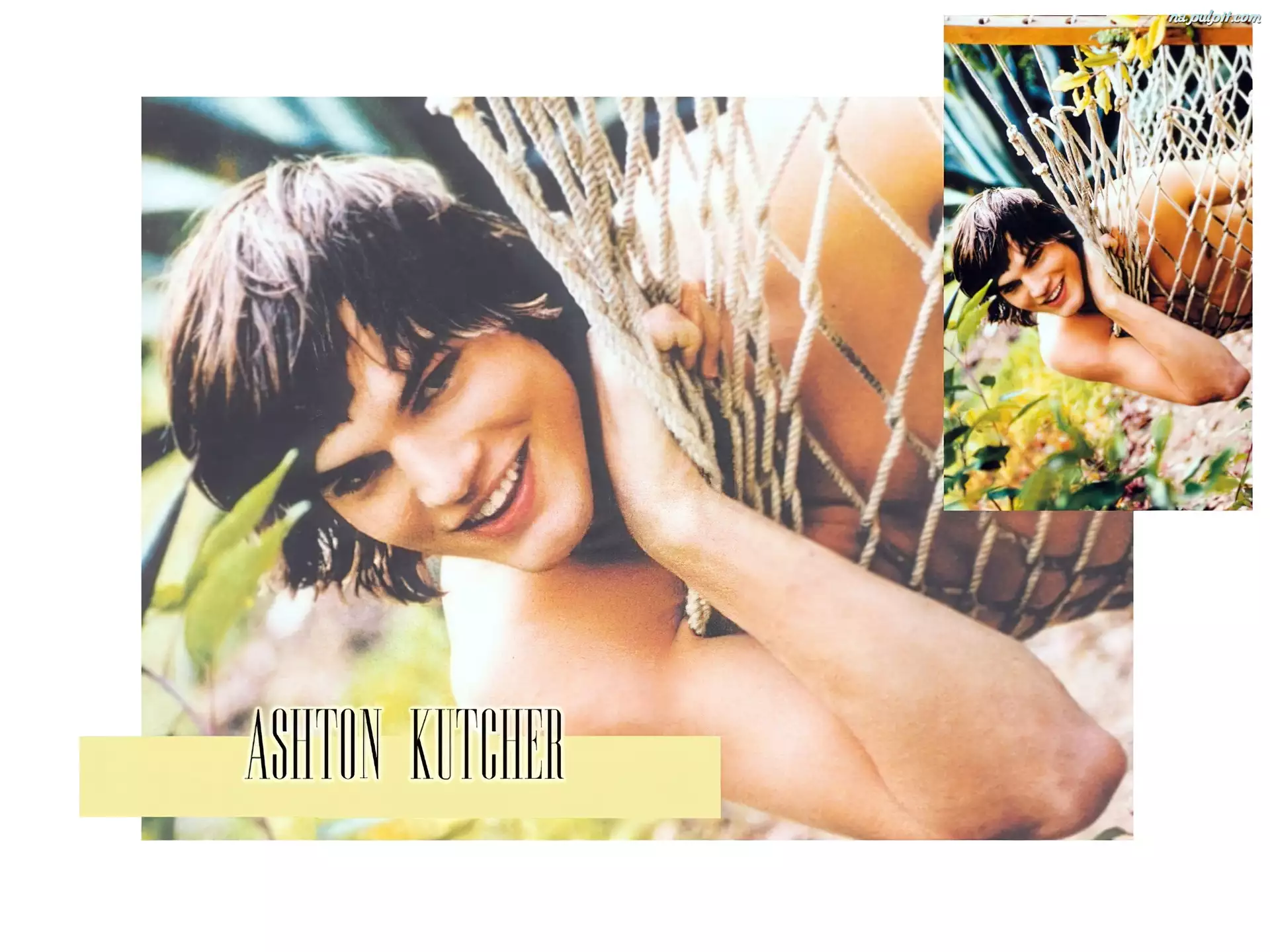 kwiaty, Ashton Kutcher, hamak
