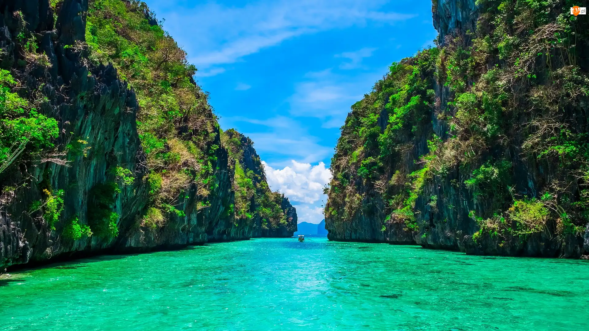 Drzewa, Skały, El Nido, Filipiny, Zatoka, Wyspa Palawan