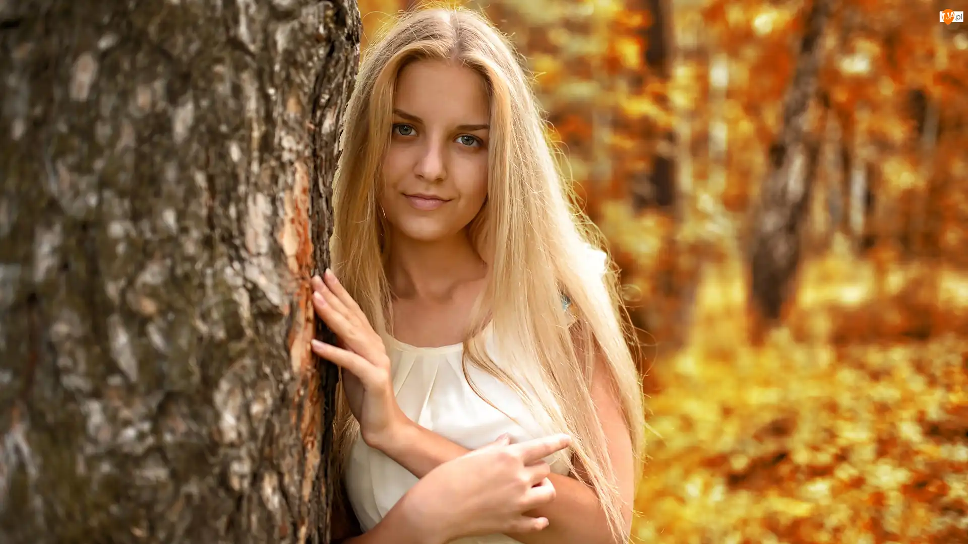 Drzewo, Kobieta, Długowłosa, Blondynka