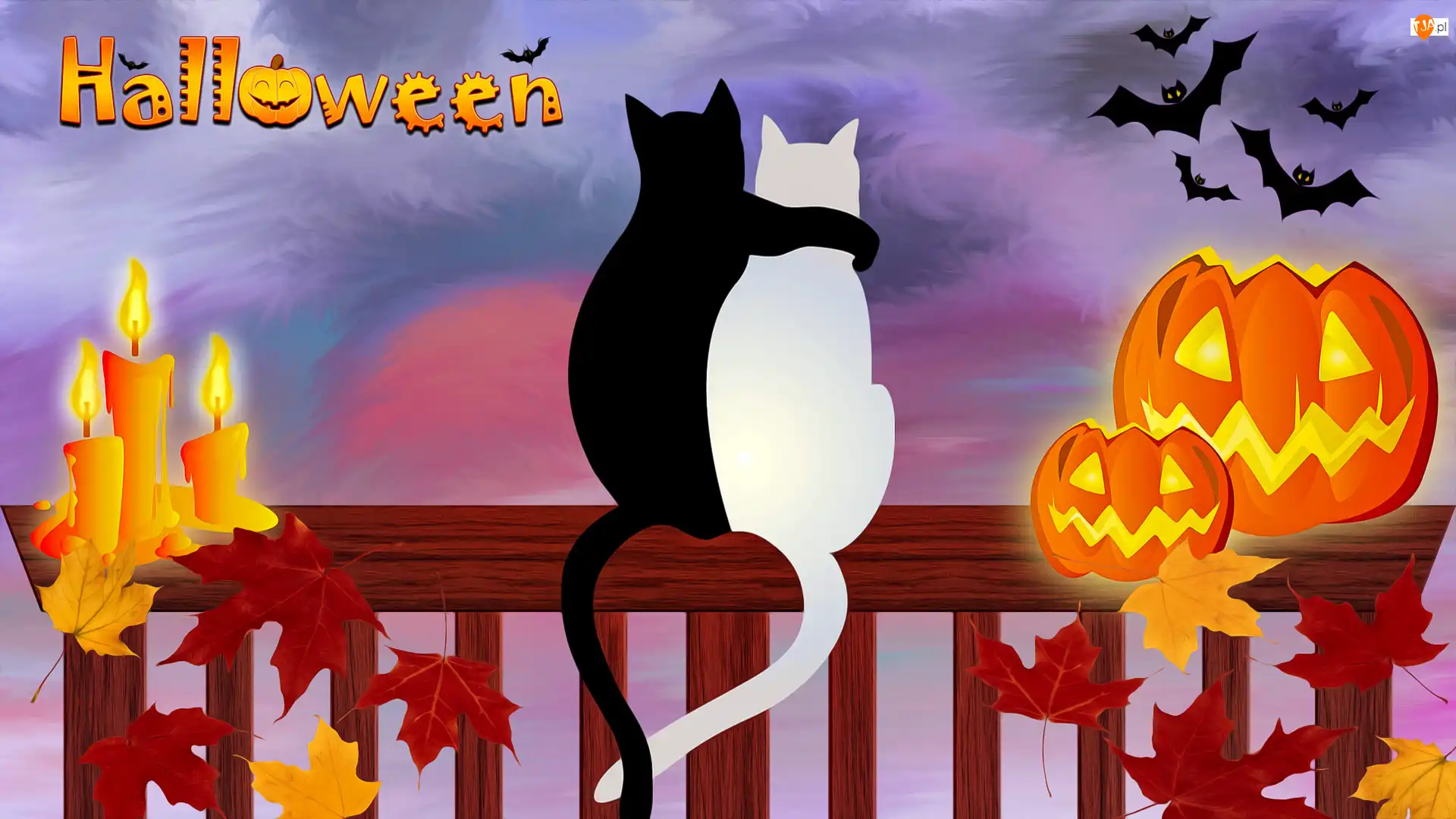 Koty, Świeczki, Grafika, Halloween, Nietoperze, Liście, Dynia