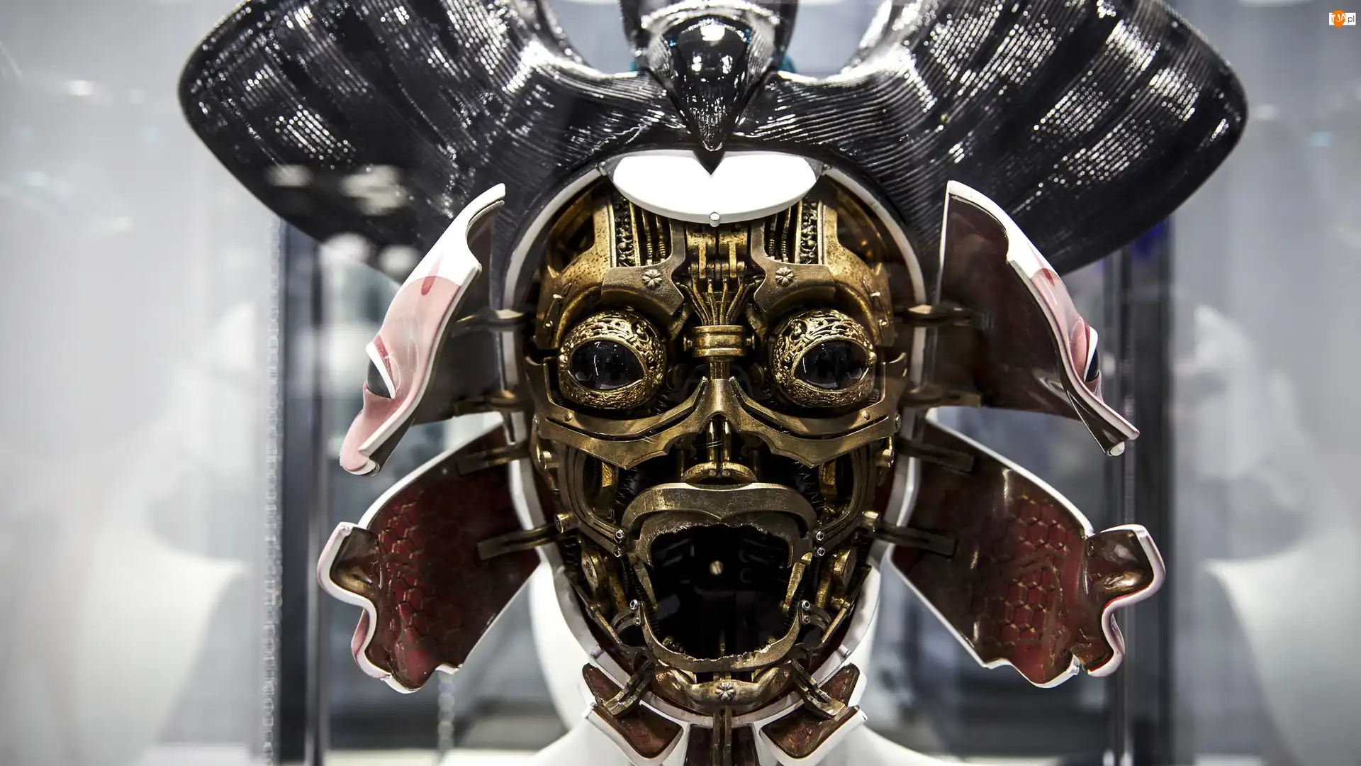 Maska, Film, Ghost in the Shell, Cyborg