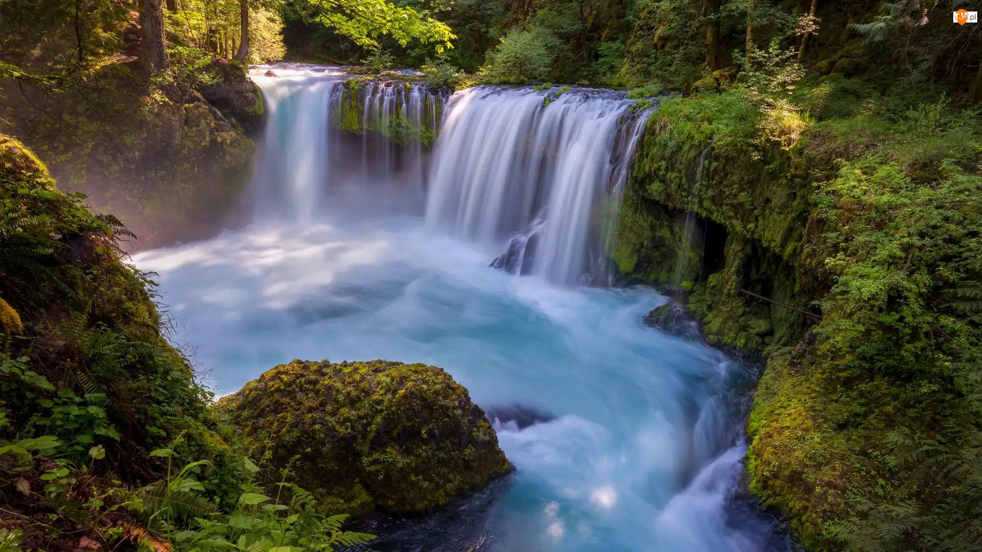 Skały, Spirit Falls, Omszałe, Wodospad, Stan Waszyngton, Stany Zjednoczone, Rzeka, Drzewa, Little White Salmon River, Kamienie
