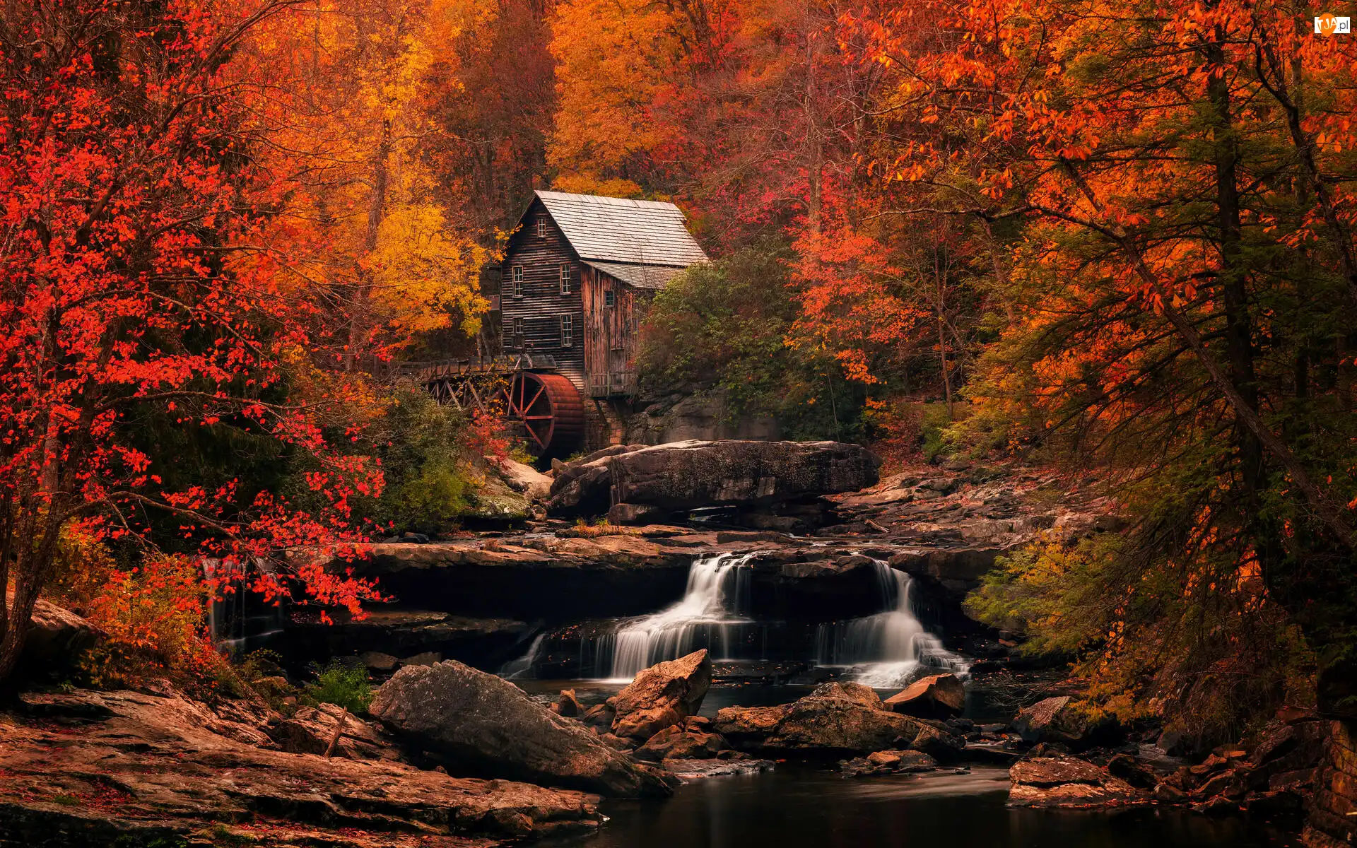Las, Rzeka, Park Babcock State, New River Gorge, Młyn, Wirginia Zachodnia, Drzewa, Jesień, Skały, Glade Creek Grist Mill, Stany Zjednoczone