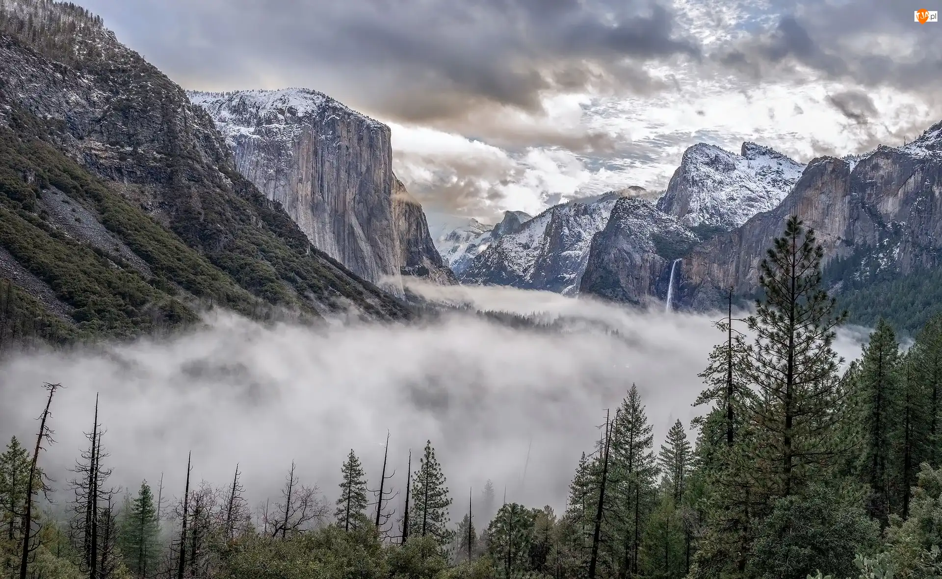 Drzewa, Mgła, Stany Zjednoczone, Góry, Kalifornia, Park Narodowy Yosemite, Chmury