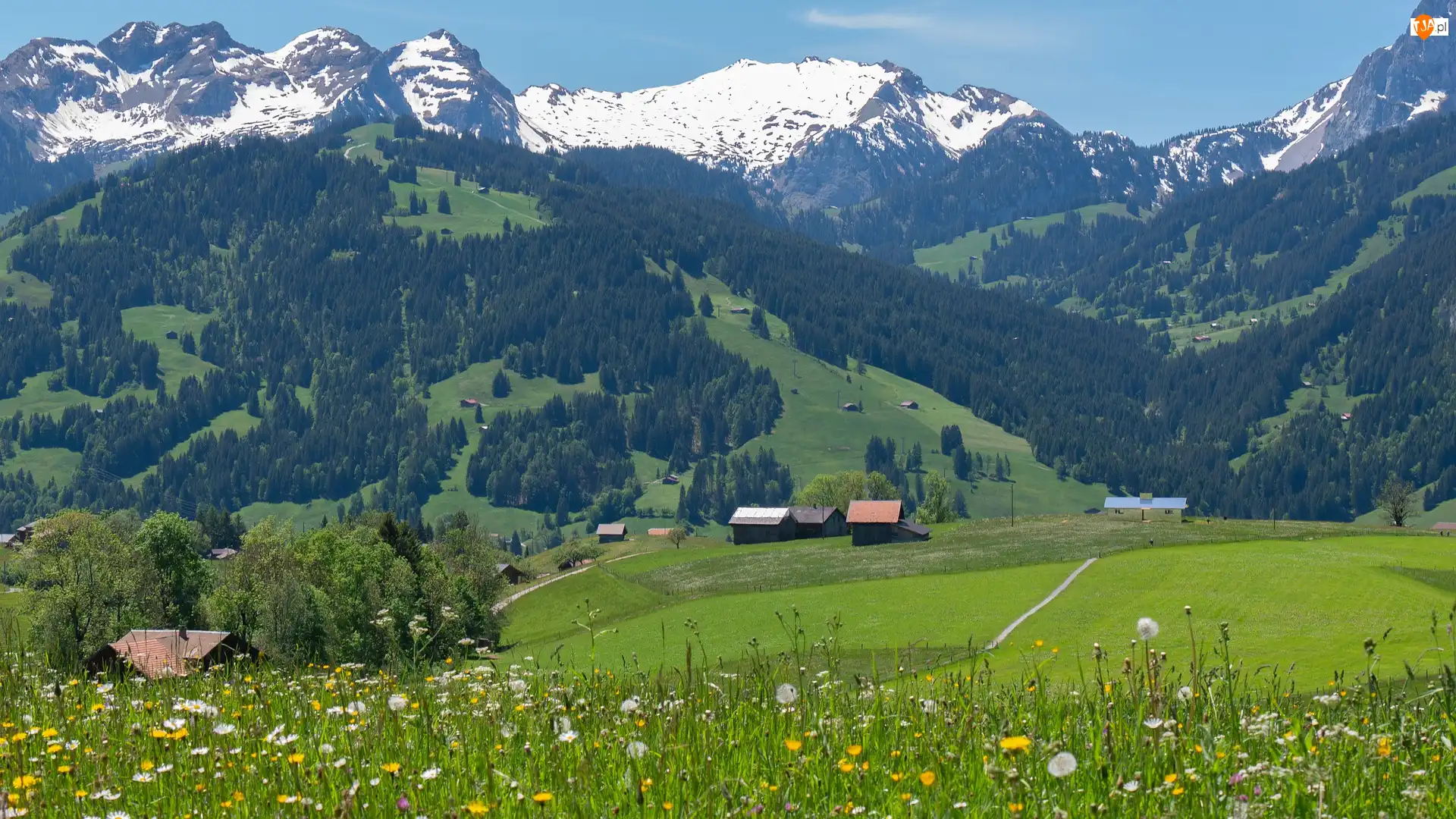 Szwajcaria, Dolina, Kanton Berno, Alpy, Oberland Berneński, Łąka, Alpy, Domy, Góry