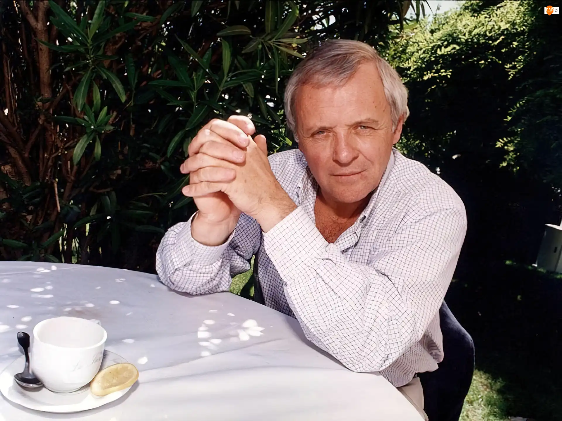 filiżanka, Anthony Hopkins, stół
