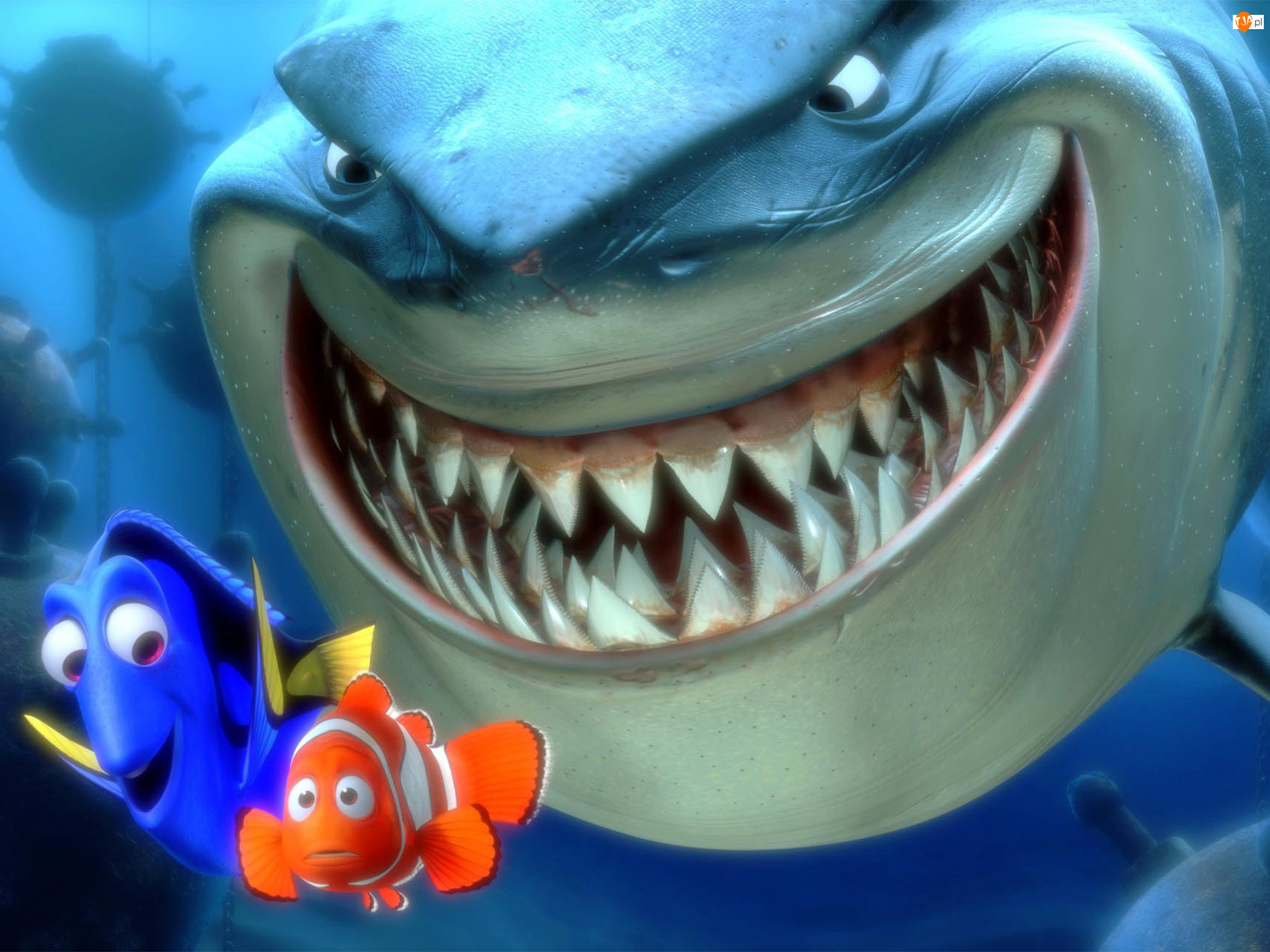 Finding Nemo, rekin, rybki, Gdzie jest Nemo