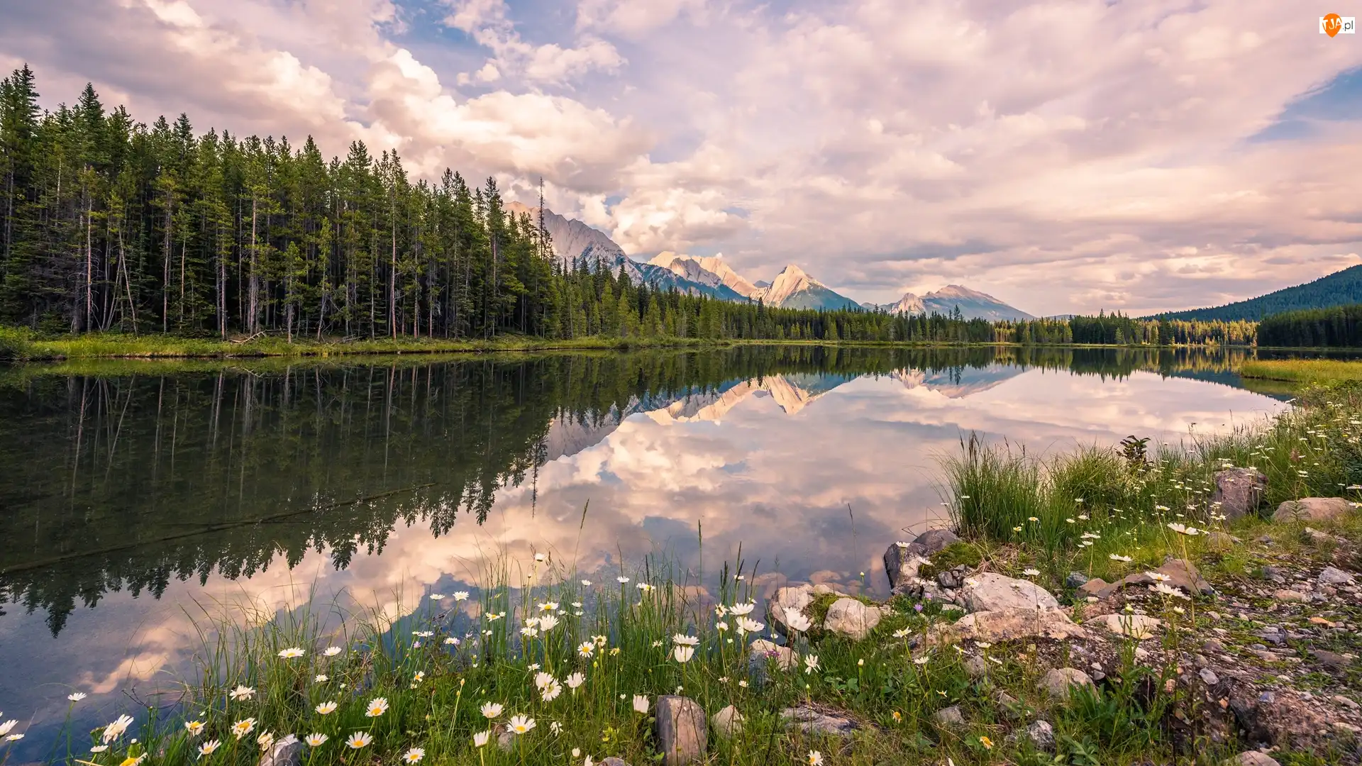Chmury, Jezioro Upper Kananaskis Lake, Kamienie, Góry Canadian Rockies, Prowincja Alberta, Kanada, Drzewa, Kananaskis Country, Las, Roślinność