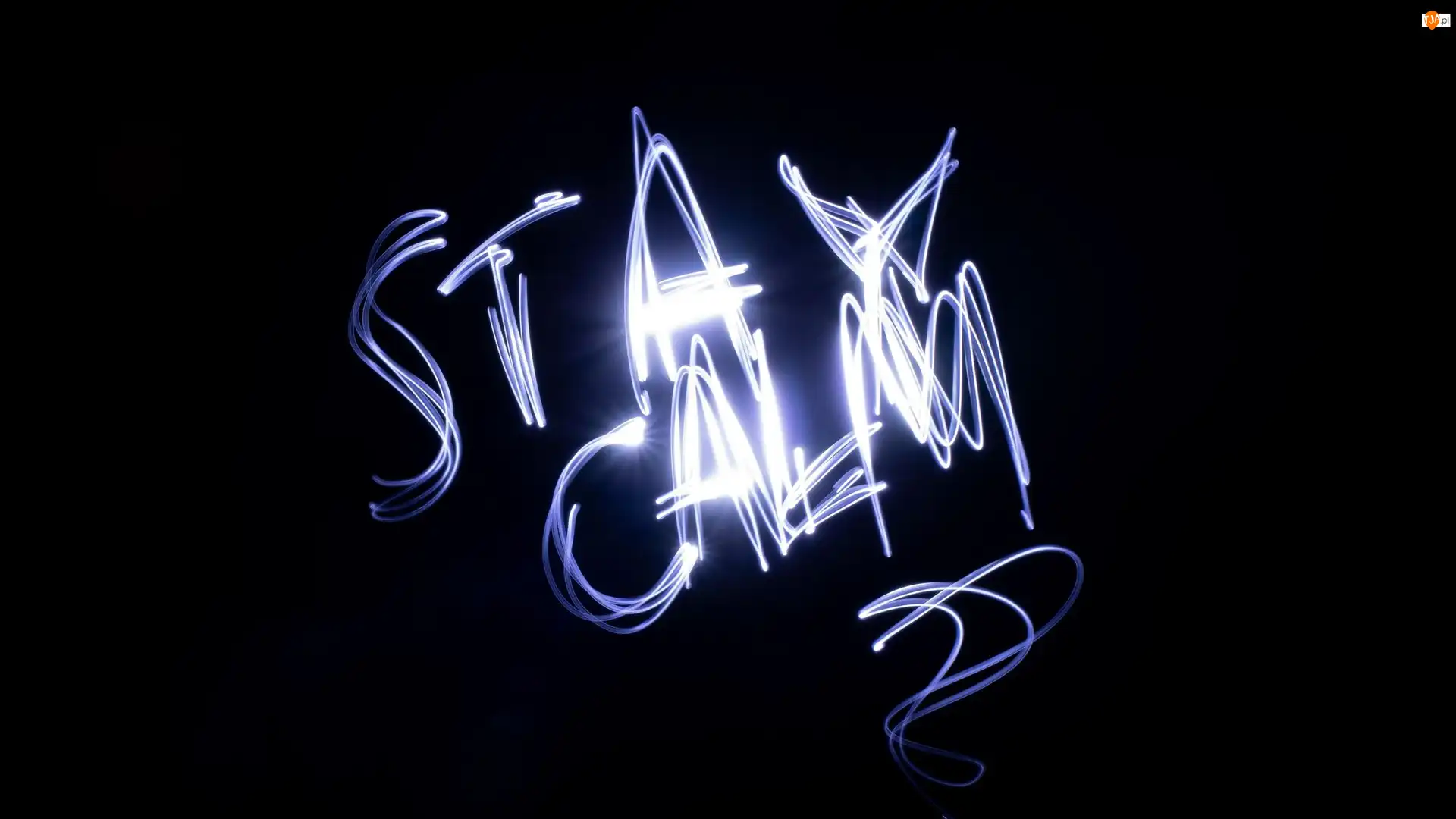 Neon, Napis, Stay Calm