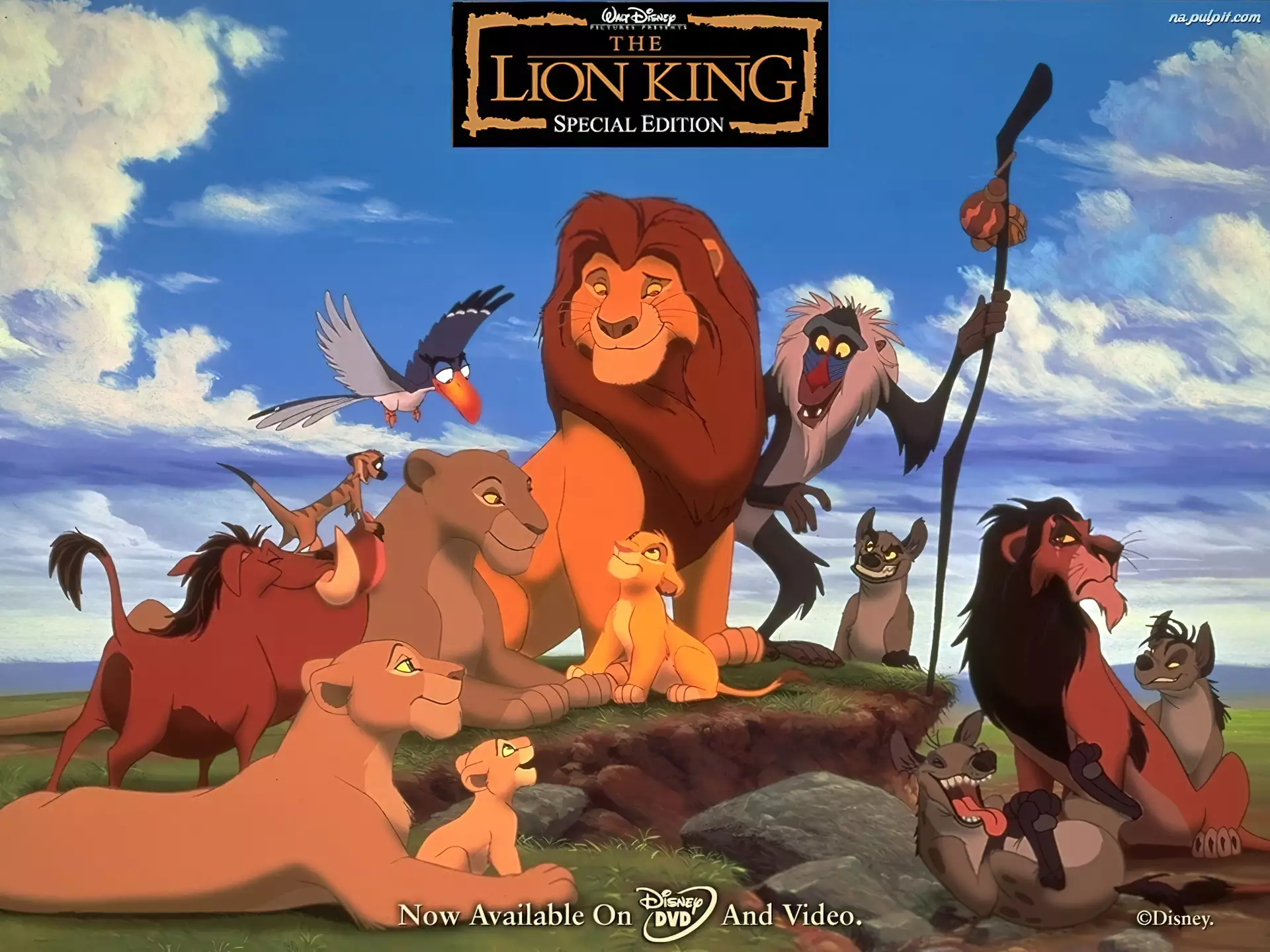 Bohaterowie, Król Lew, The Lion King