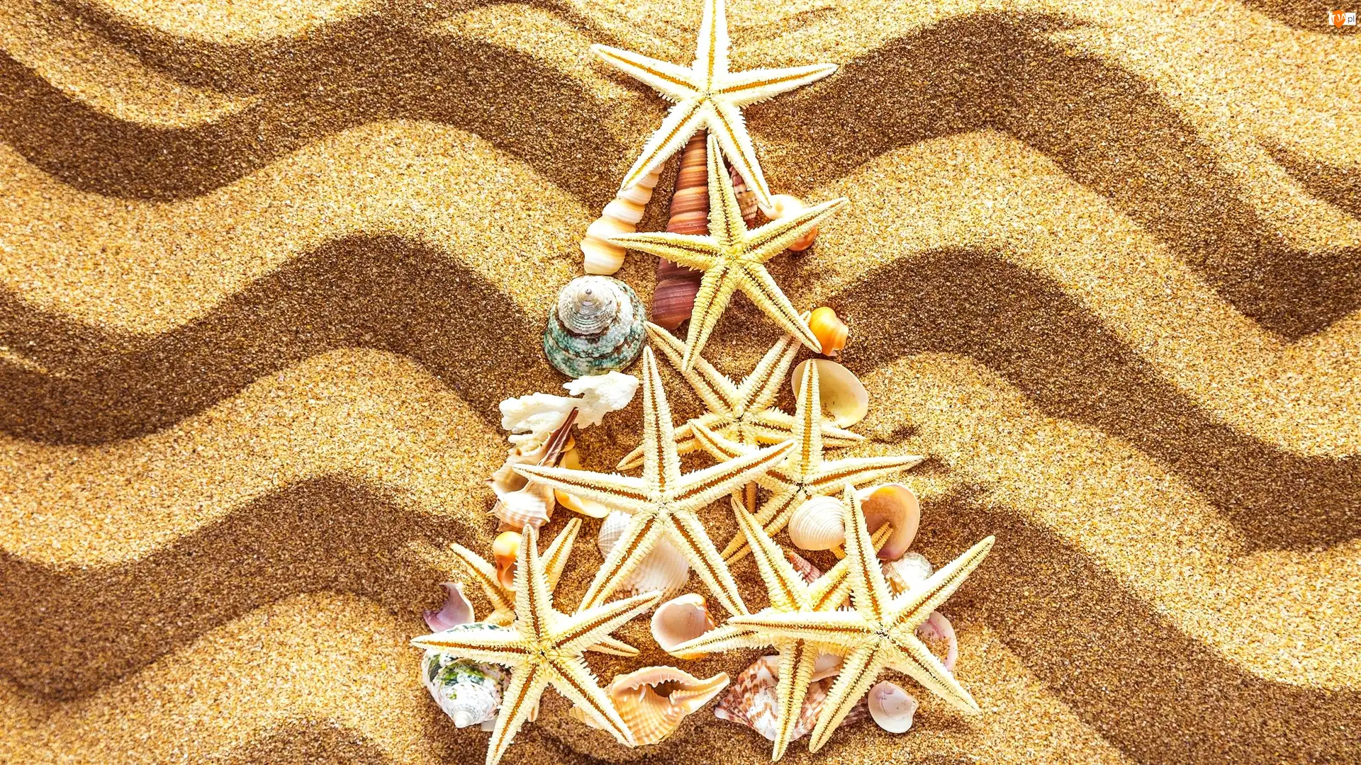 Rozgwiazdy, Świąteczne, Muszelki, Piasek, Choinka