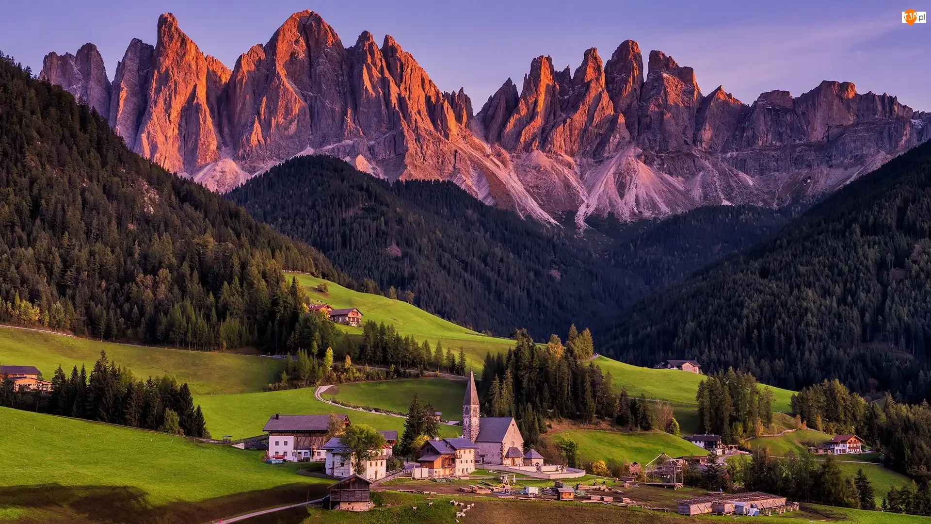 Drzewa, Góry, Masyw Odle, Kościół, Dolomity, Włochy, Wieś Santa Maddalena, Dolina Val di Funes, Domy, Las