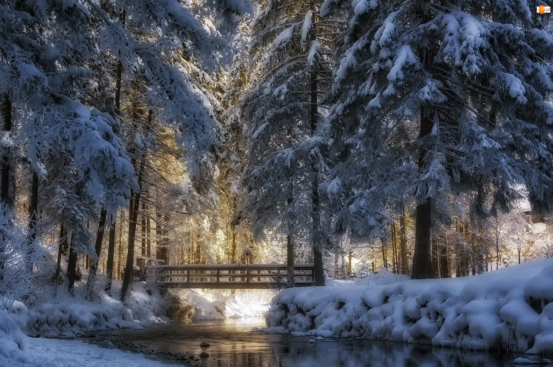 Zima, Park, Rzeczka, Drzewa, Most, Ośnieżone