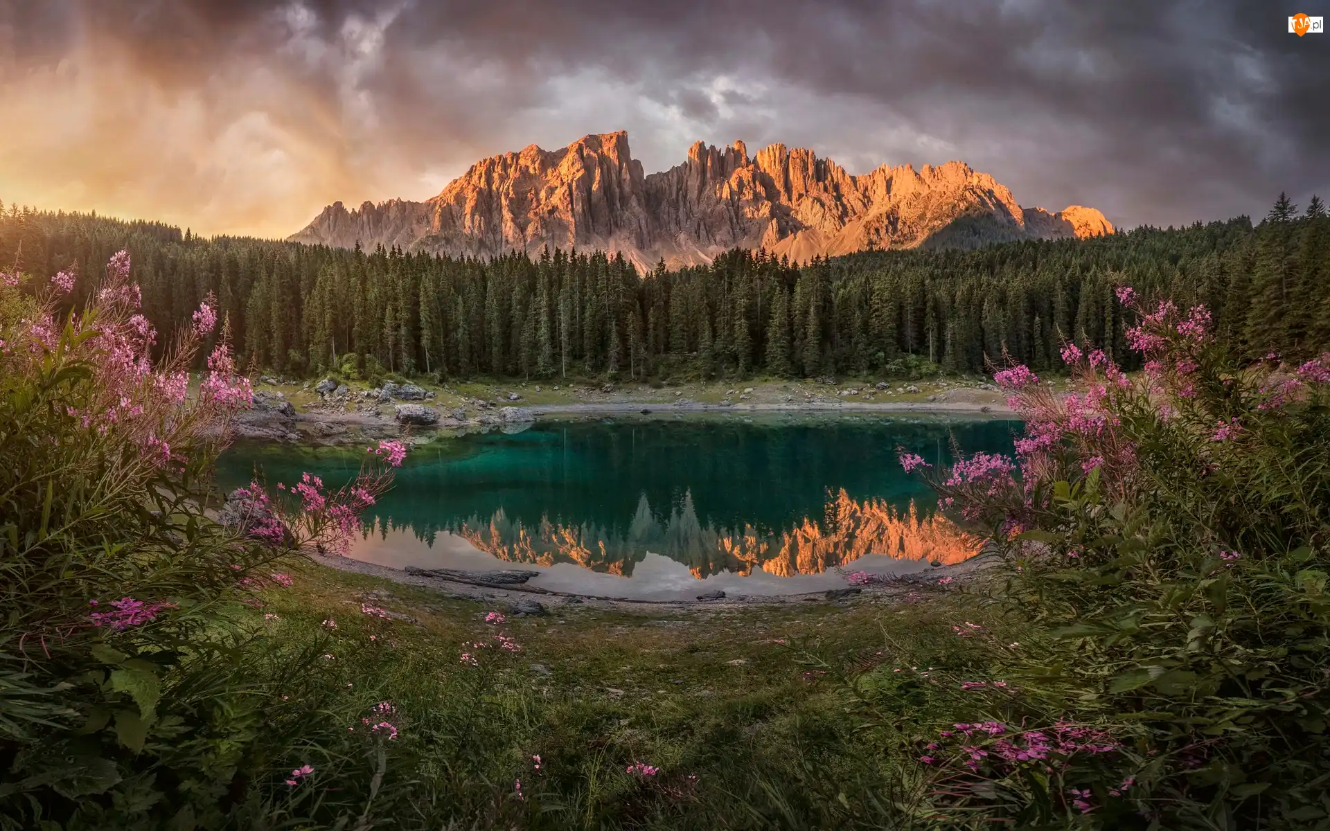 Lago di Carezza, Góry, Włochy, Jezioro, Południowy Tyrol, Dolomity, Alpy