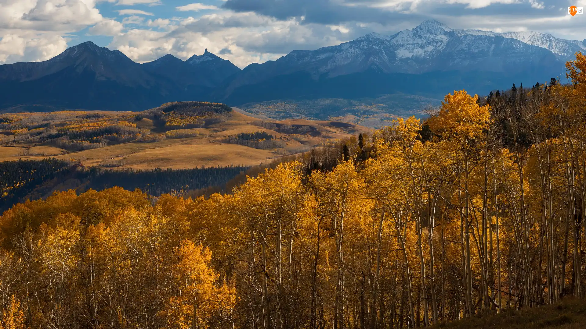 Stany Zjednoczone, San Juan Mountains, Kolorado, Topole osikowe, Hrabstwo San Miguel, Jesień, Dolina, Góry, Drzewa
