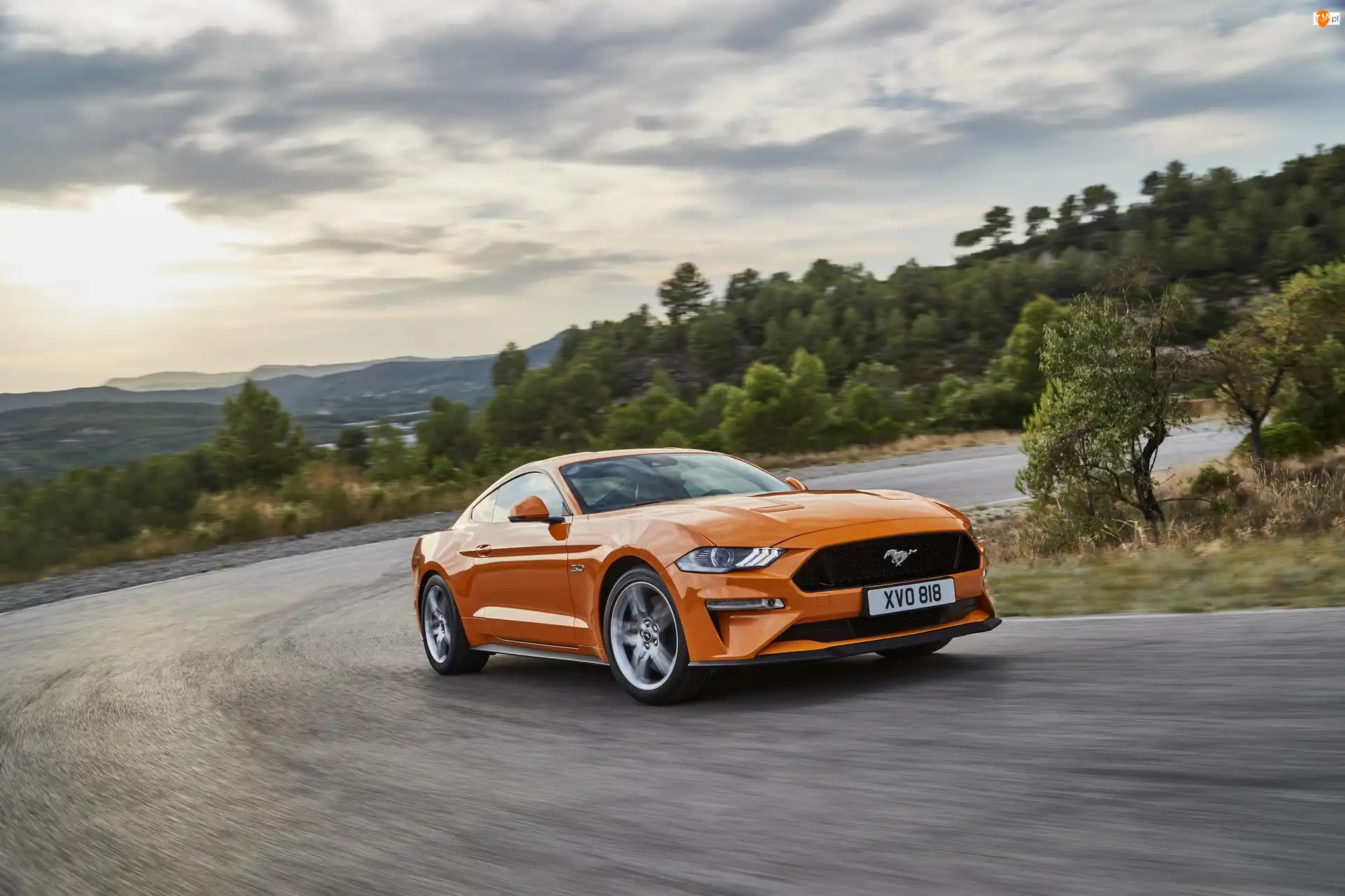 Droga, Ford Mustang GT