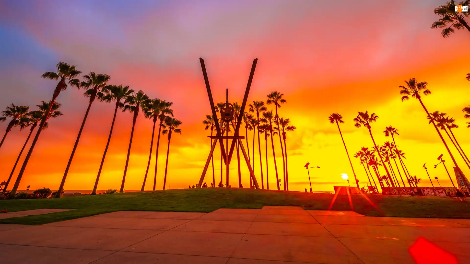 Kalifornia, Stany Zjednoczone, Morze, Zachód słońca, Venice Beach V Sculpture, Palmy