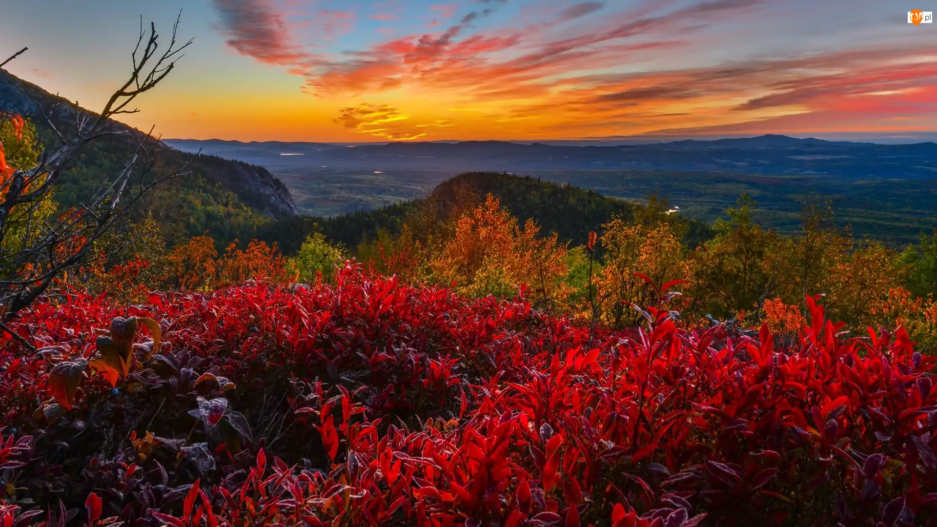 Góry, Czerwone, Kanada, Zachód słońca, Prowincja Quebec, Park Narodowy Grands Jardins, Krzewy