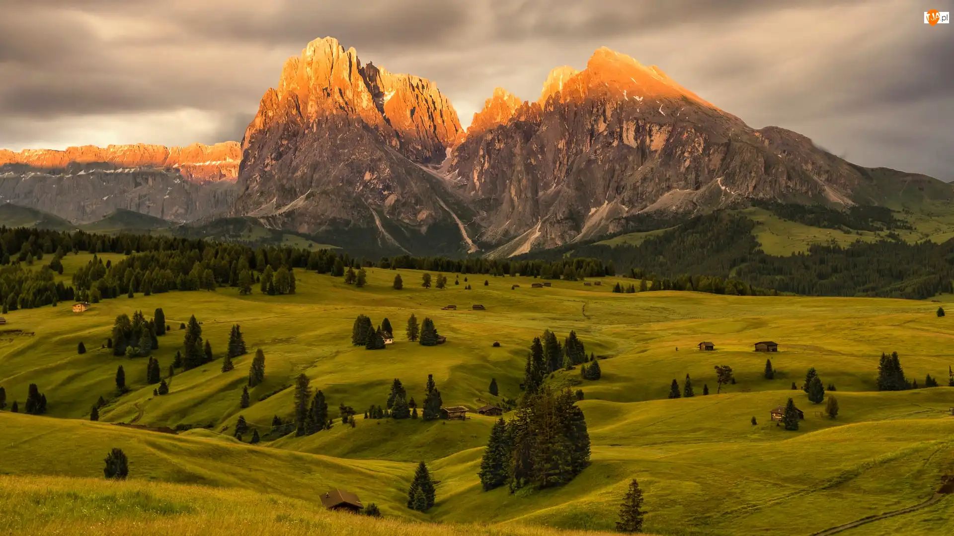 Seiser Alm, Val Gardena, Drewniane, Drzewa, Góry Sassolungo, Domy, Dolina, Dolomity, Chmury, Płaskowyż, Włochy