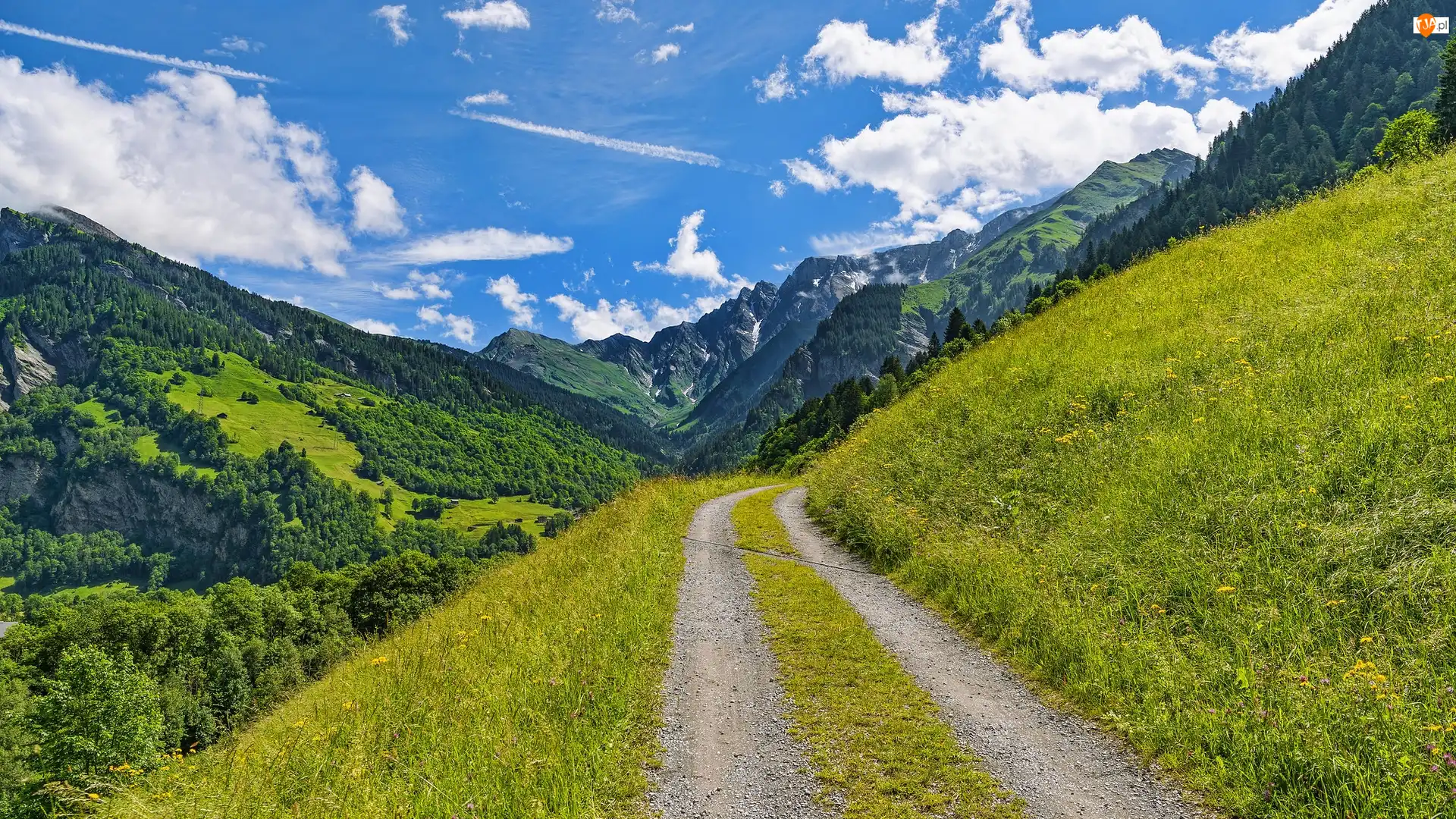 Wzgórza, Droga, Góry, Szwajcaria, Drzewa, Alpy Szwajcarskie