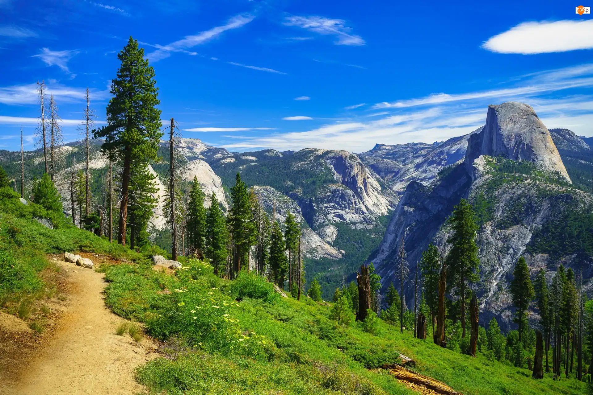 Sierra Nevada, Park Narodowy Yosemite, Stany Zjednoczone, Góry, Kalifornia, Drzewa, Ścieżka